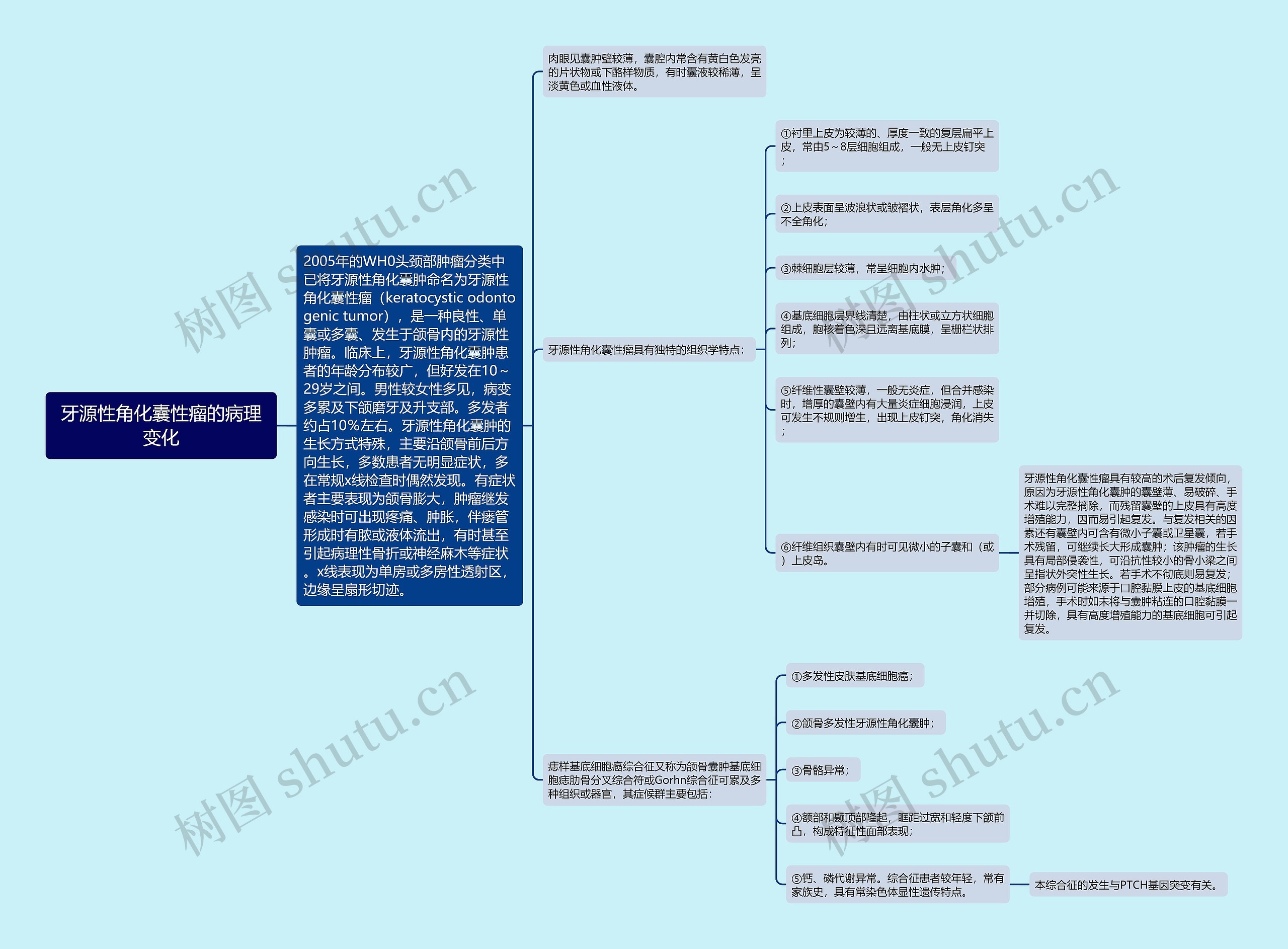 牙源性角化囊性瘤的病理变化 牙源性角化囊性瘤的病理变化