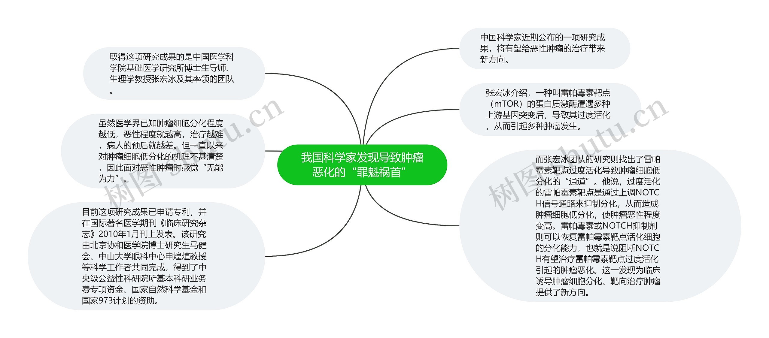 我国科学家发现导致肿瘤恶化的“罪魁祸首” 我国科学家发现导致肿瘤恶化的“罪魁祸首”