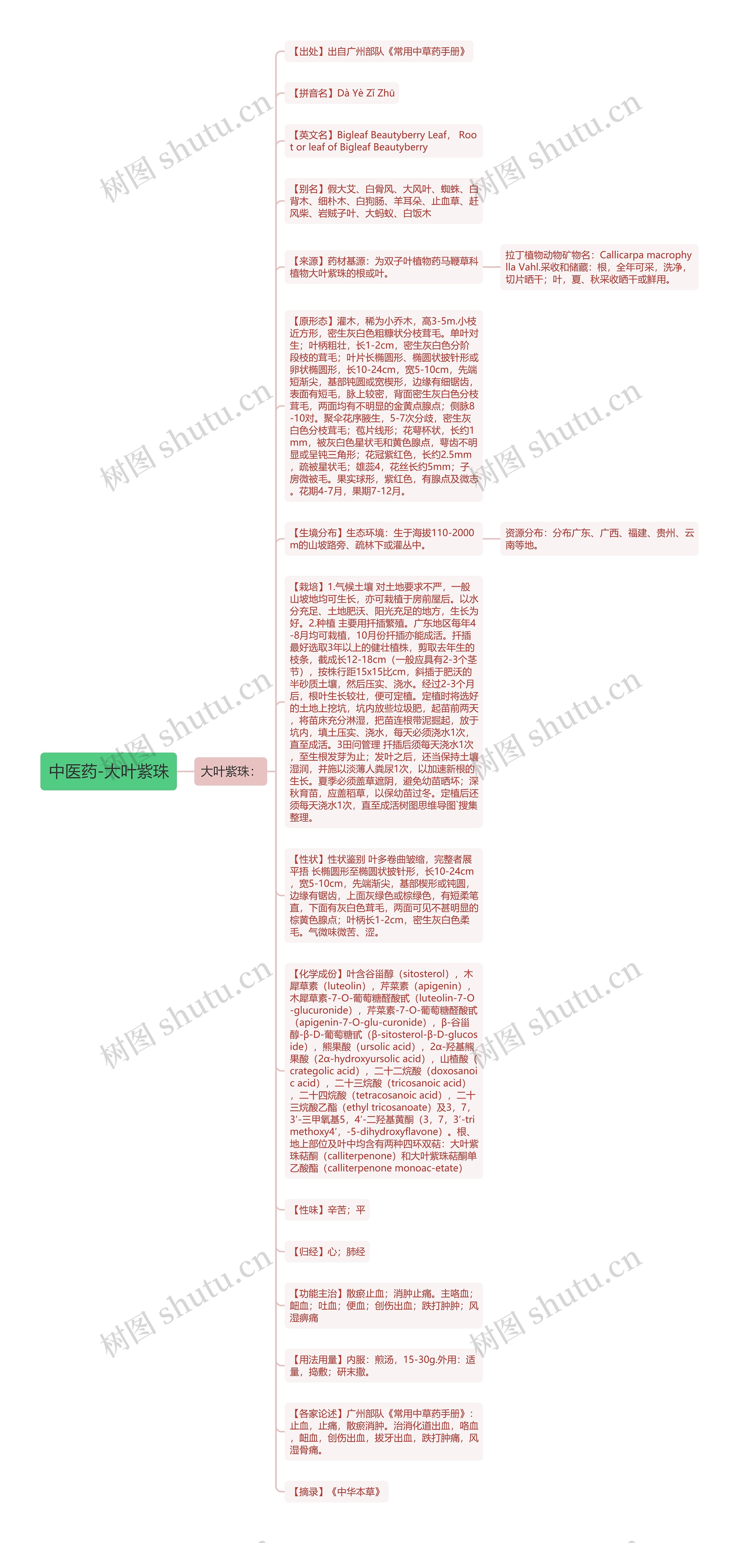 中医药-大叶紫珠思维导图