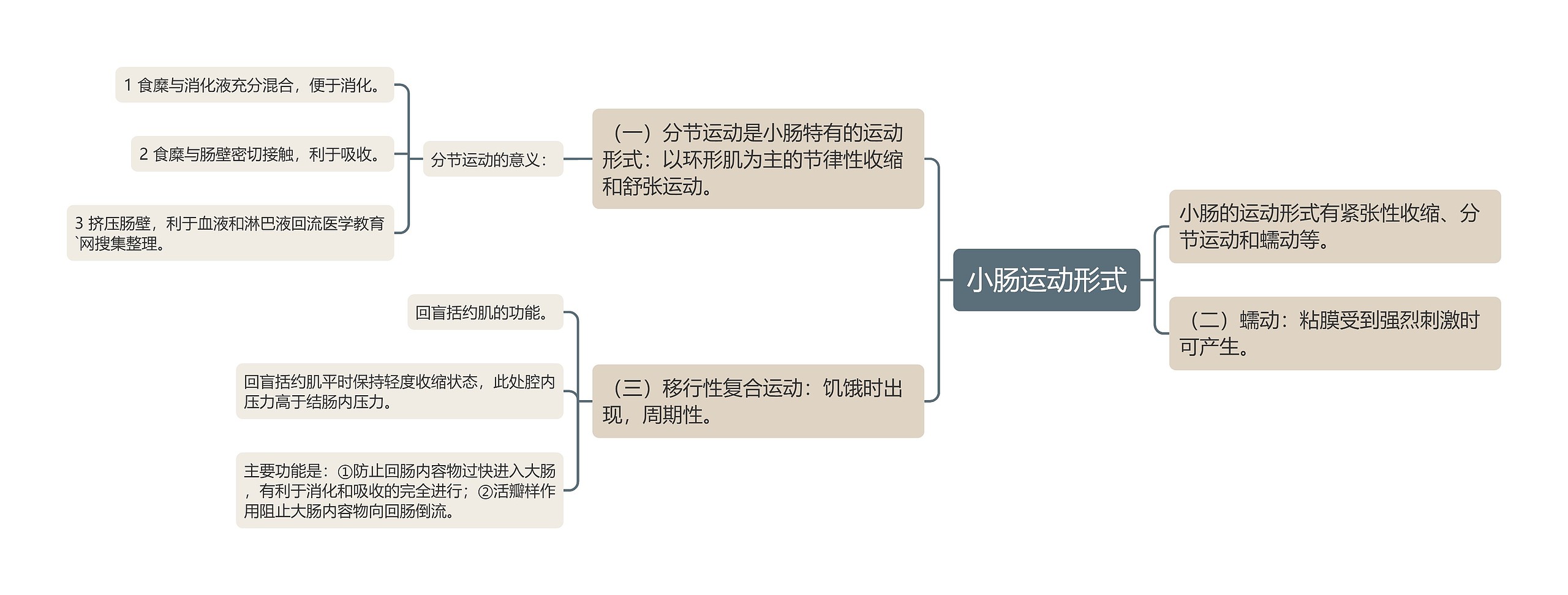 小肠运动形式思维导图