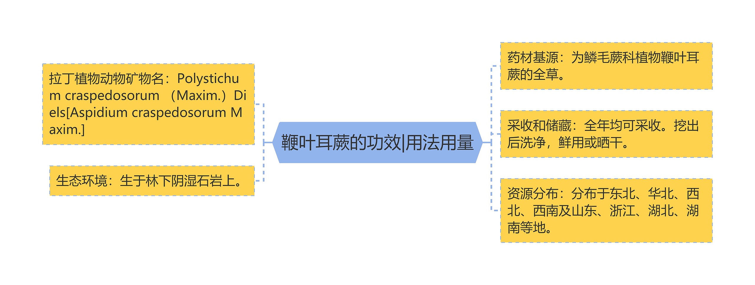 鞭叶耳蕨的功效|用法用量