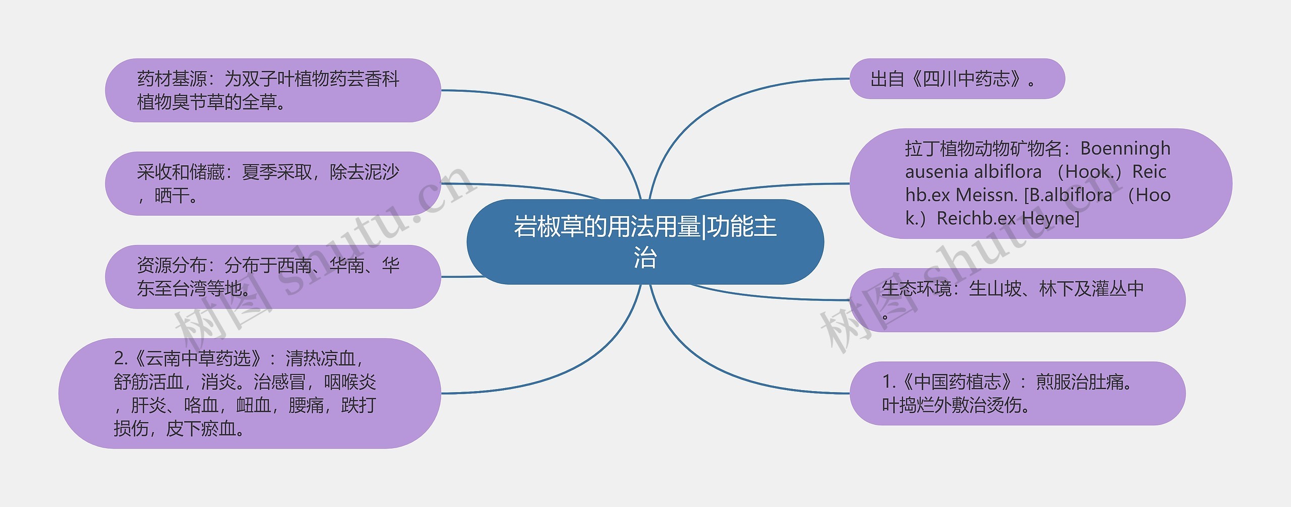 岩椒草的用法用量|功能主治思维导图