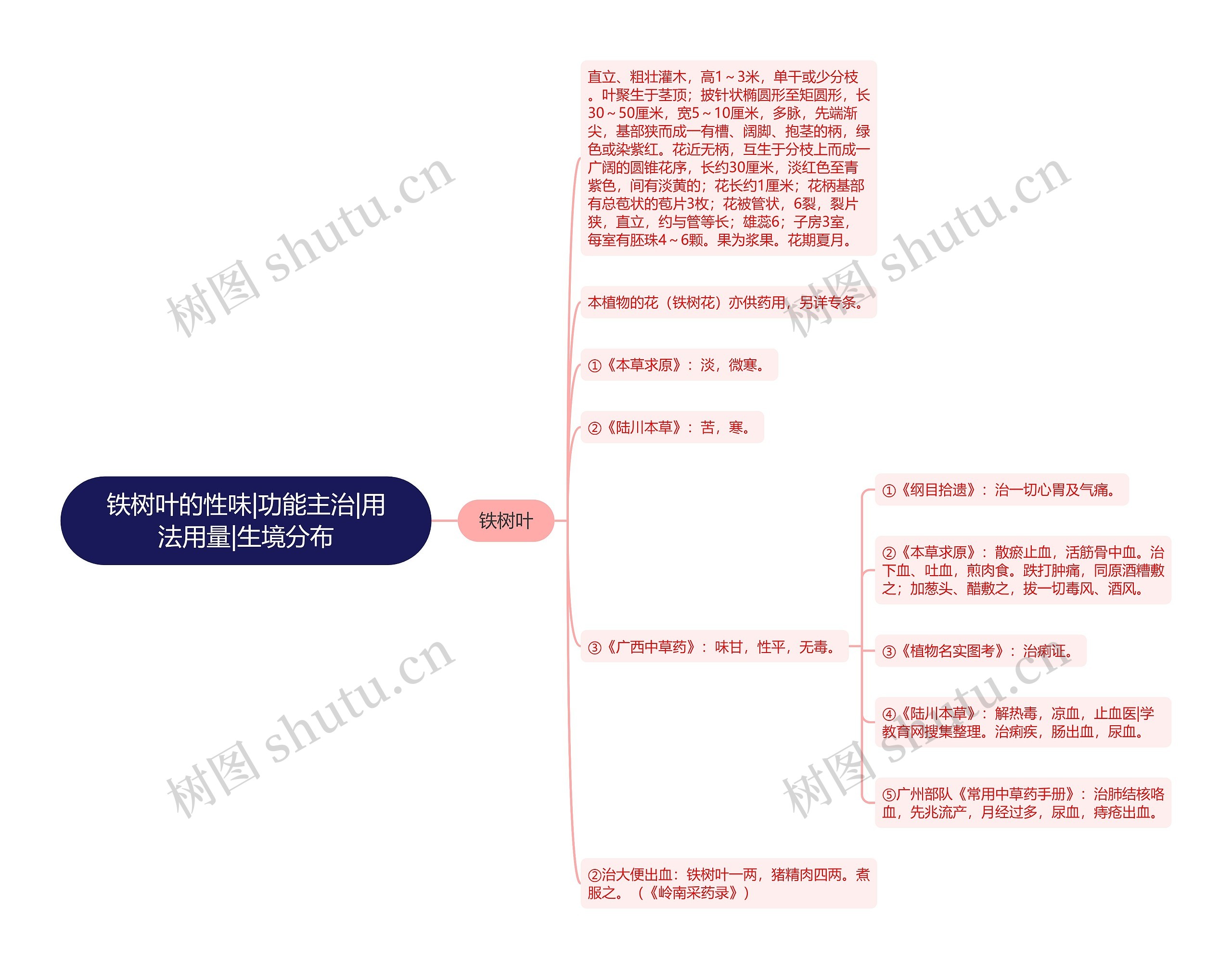 铁树叶的性味|功能主治|用法用量|生境分布思维导图