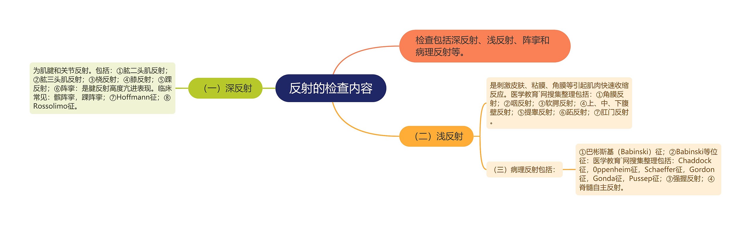 反射的检查内容思维导图