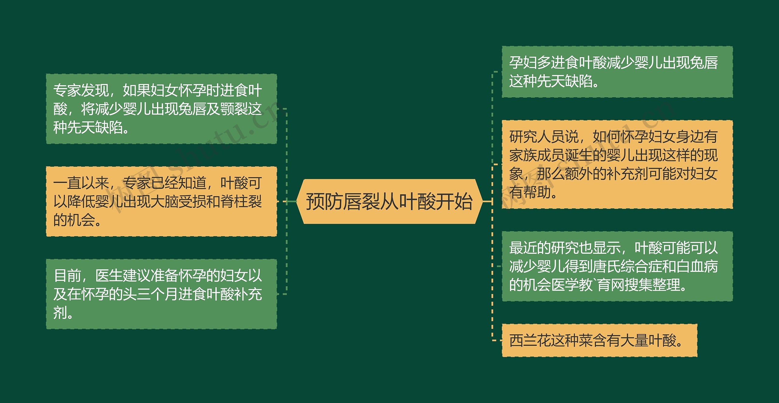 预防唇裂从叶酸开始思维导图