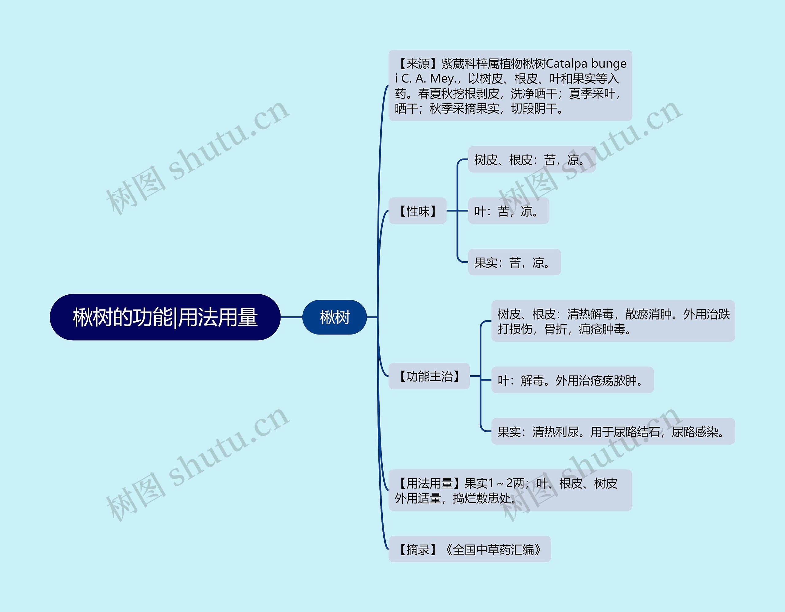 楸树的功能|用法用量思维导图