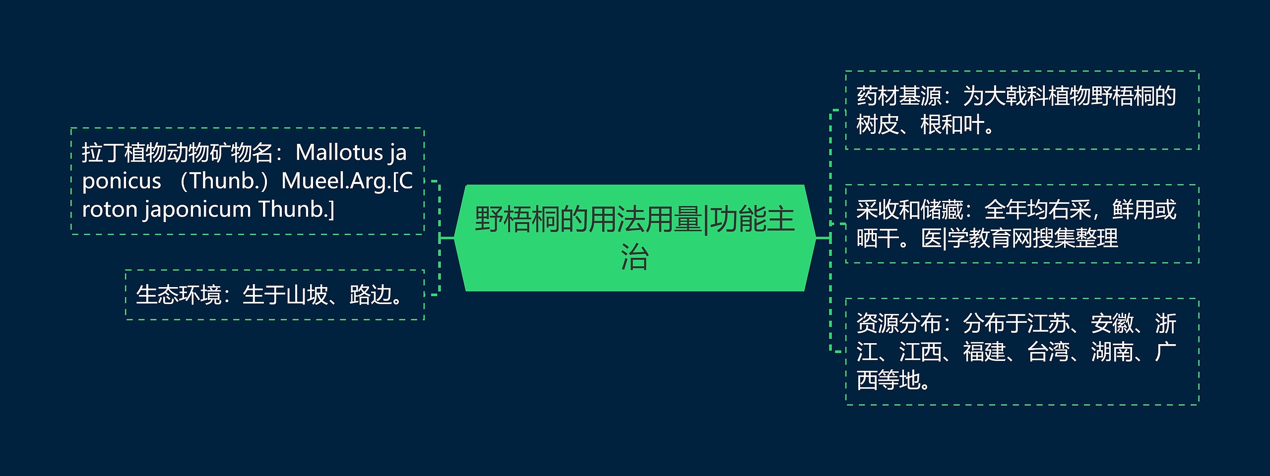 野梧桐的用法用量|功能主治思维导图