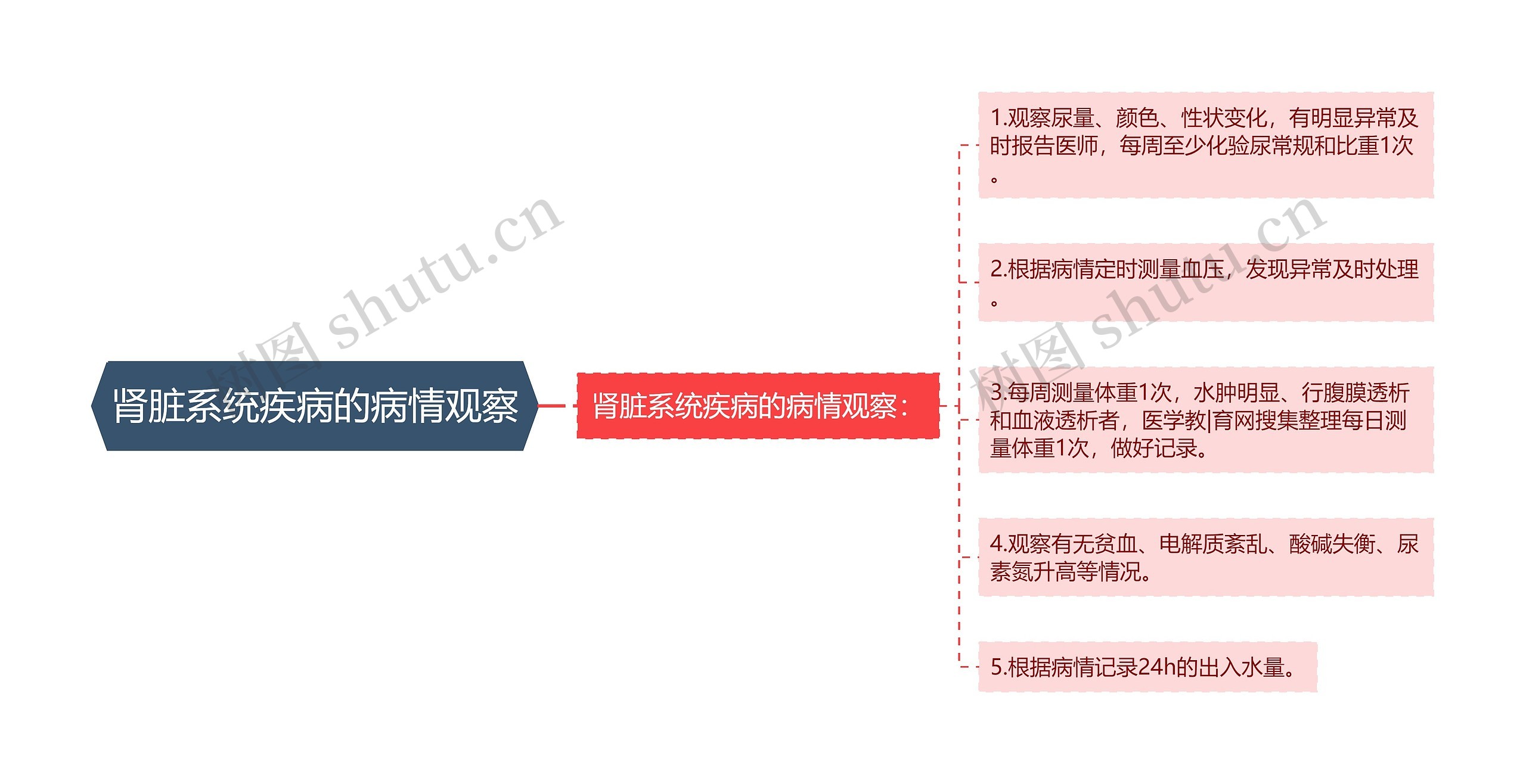 肾脏系统疾病的病情观察思维导图