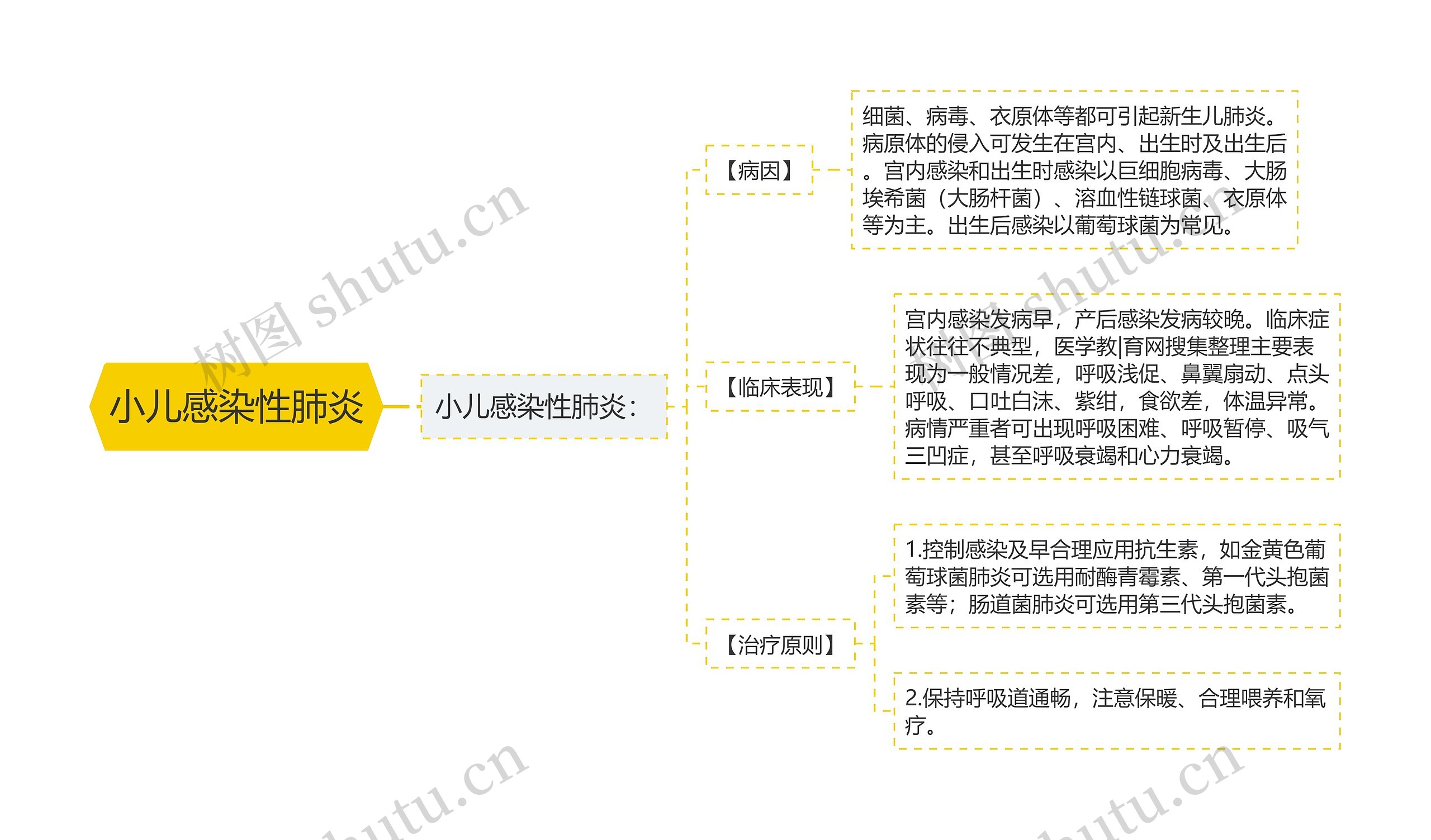 小儿感染性肺炎思维导图