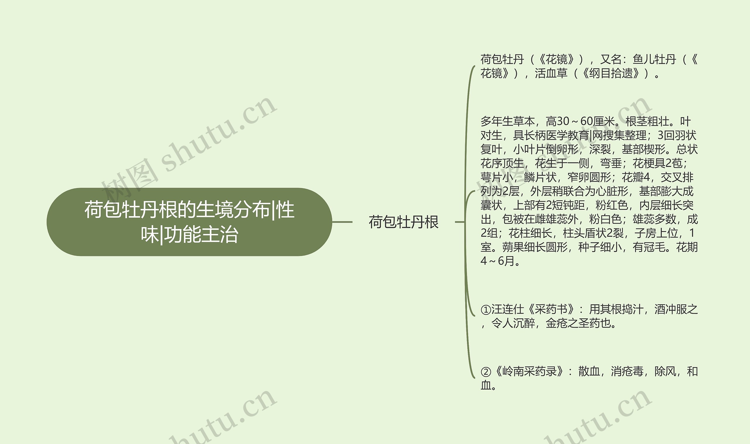 荷包牡丹根的生境分布|性味|功能主治