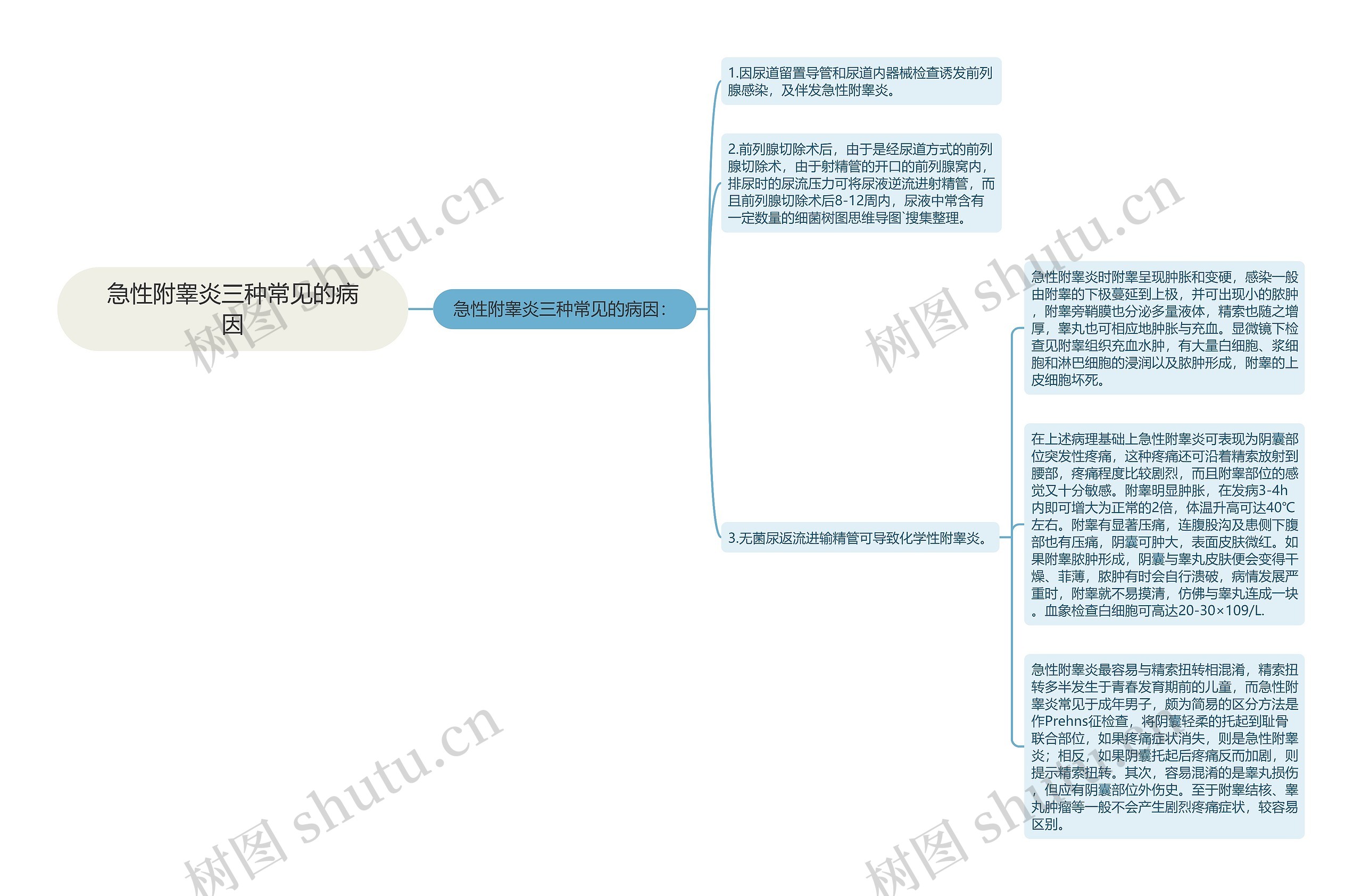 急性附睾炎三种常见的病因思维导图