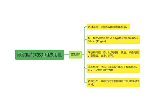 藏鮡胆的功效|用法用量