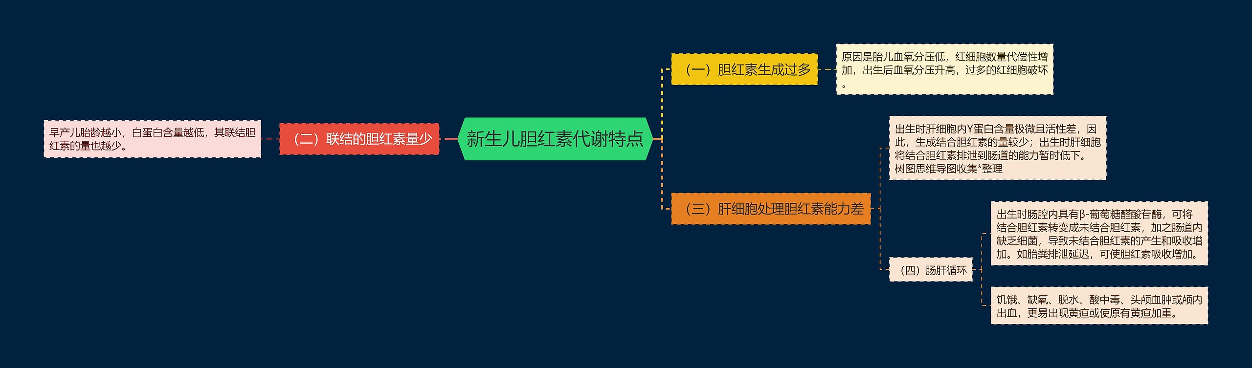 新生儿胆红素代谢特点