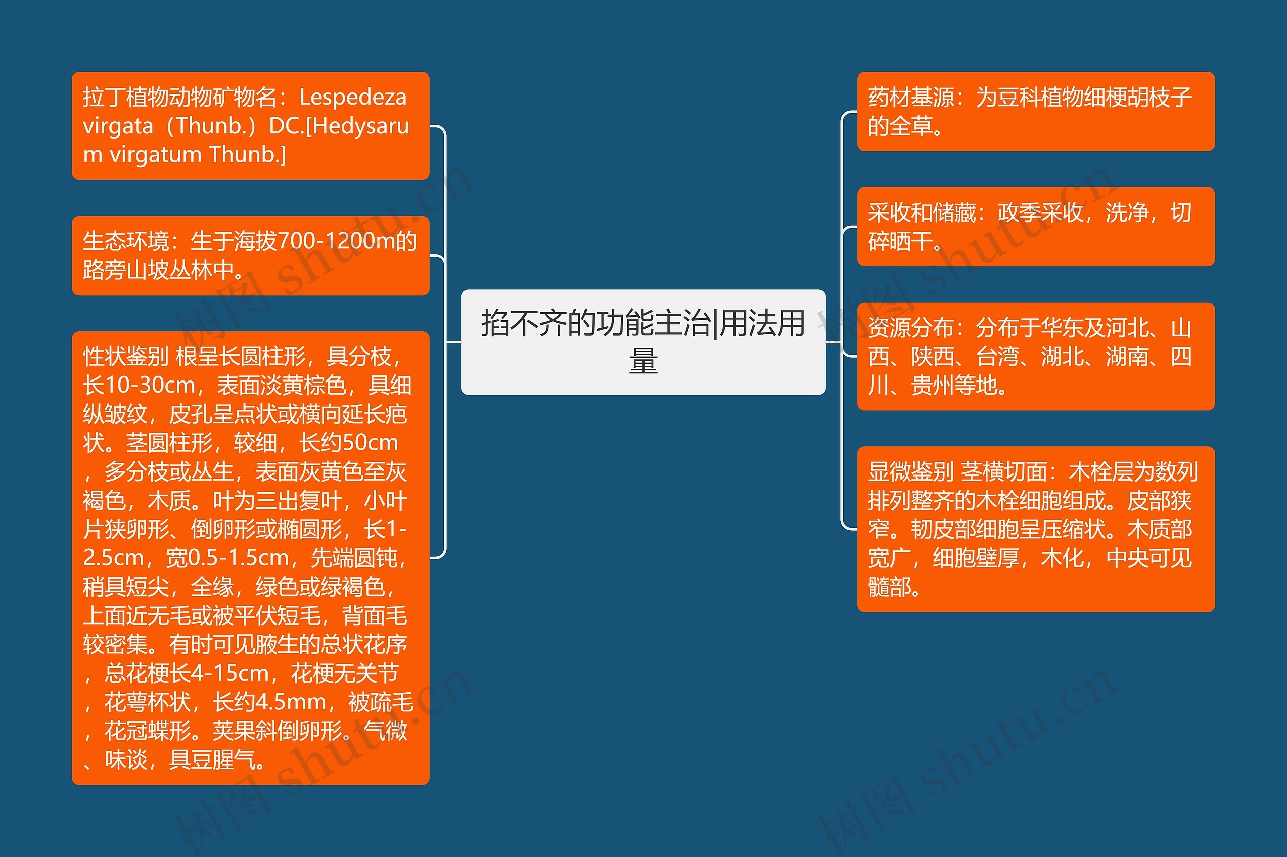 掐不齐的功能主治|用法用量思维导图