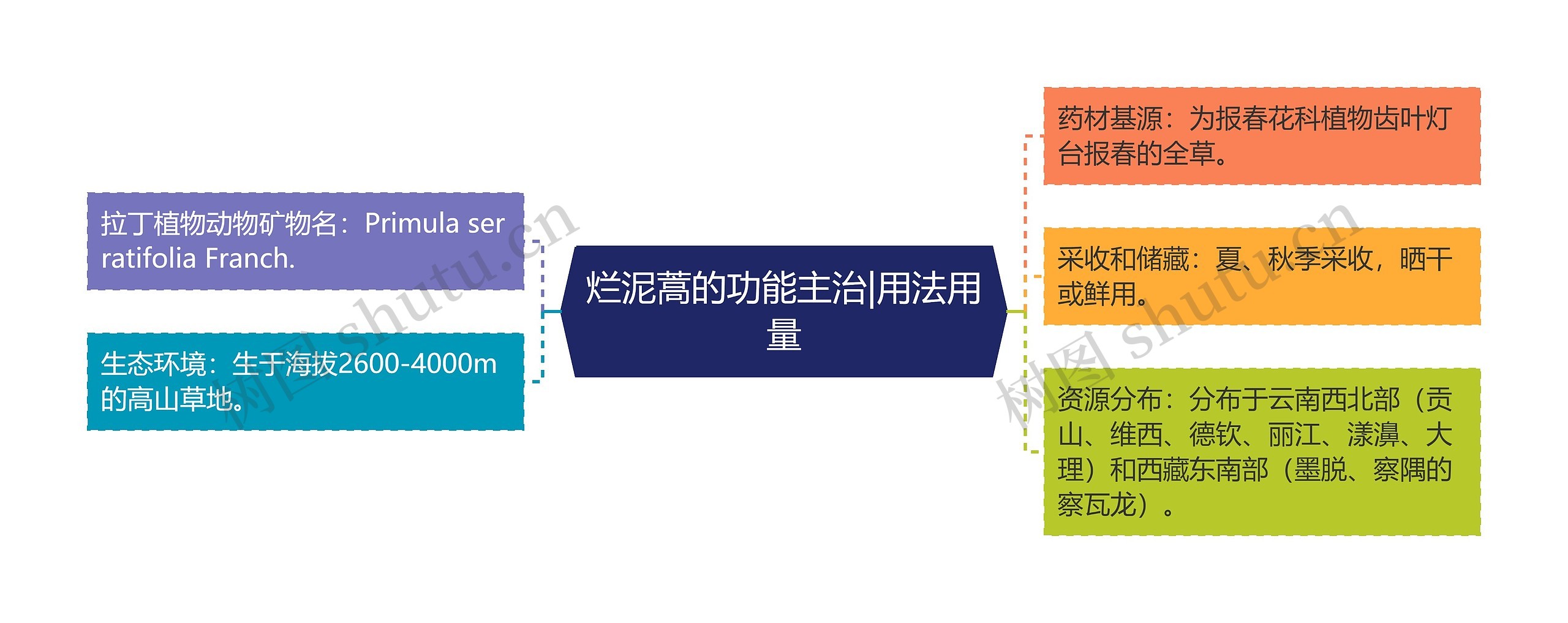 烂泥蒿的功能主治|用法用量 烂泥蒿的功能主治|用法用量