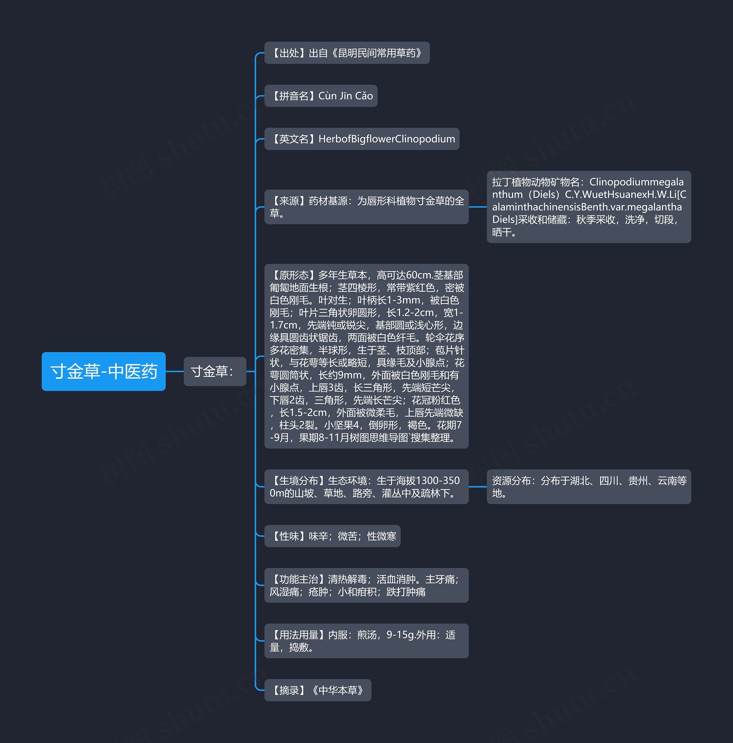 寸金草-中医药思维导图