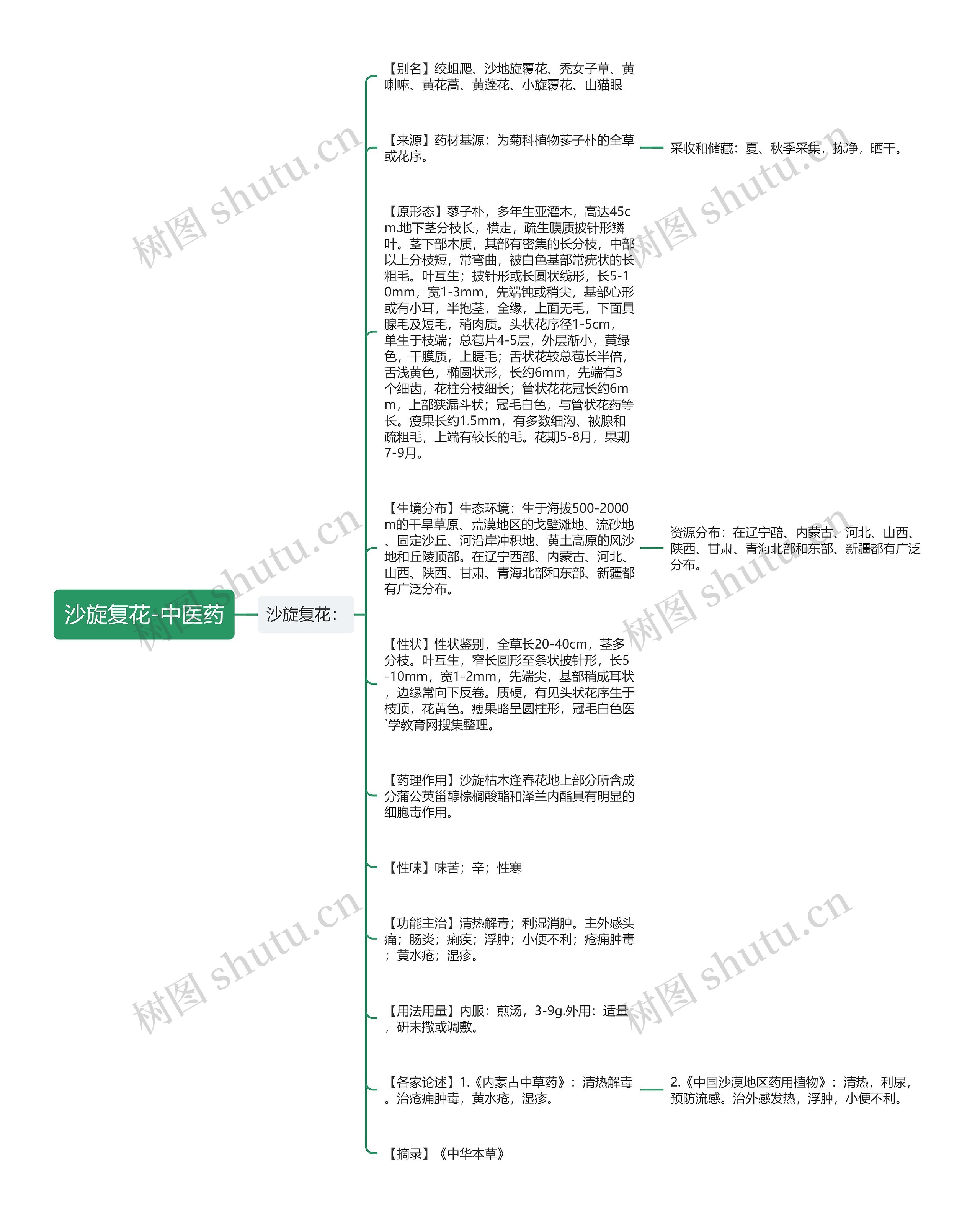 沙旋复花-中医药思维导图