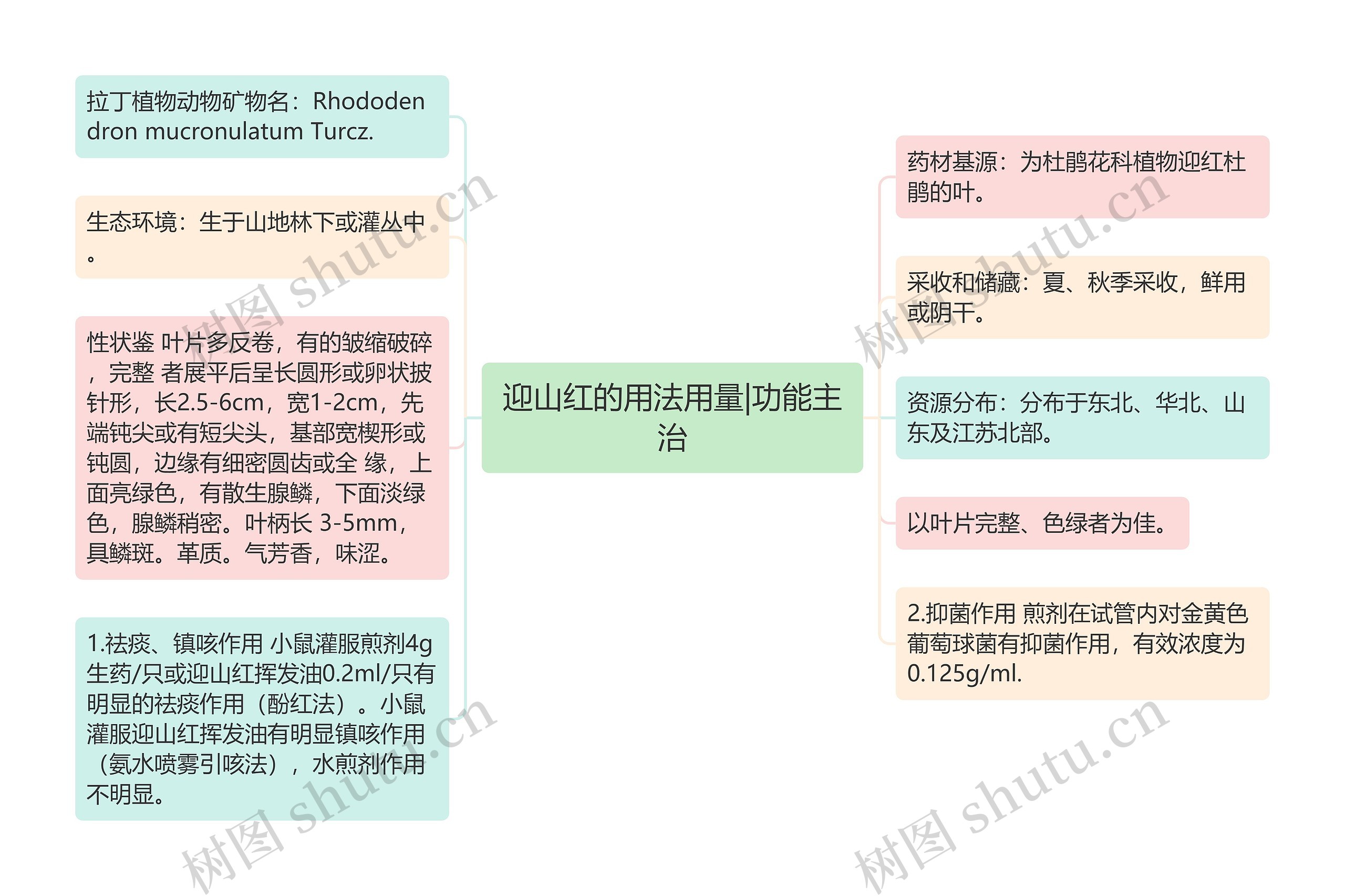 迎山红的用法用量|功能主治思维导图