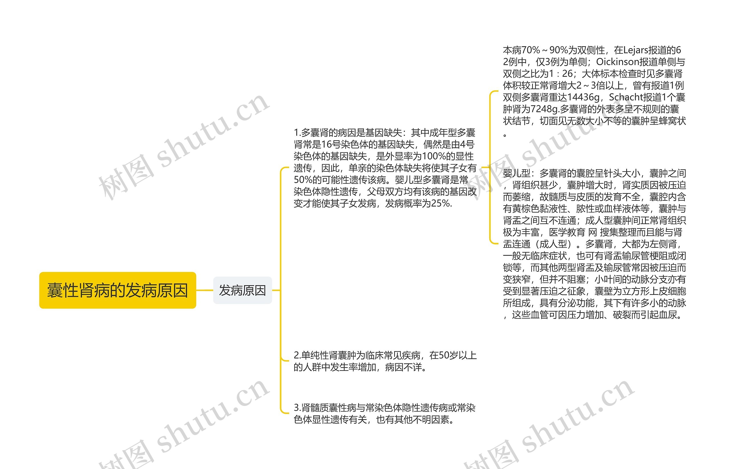 囊性肾病的发病原因