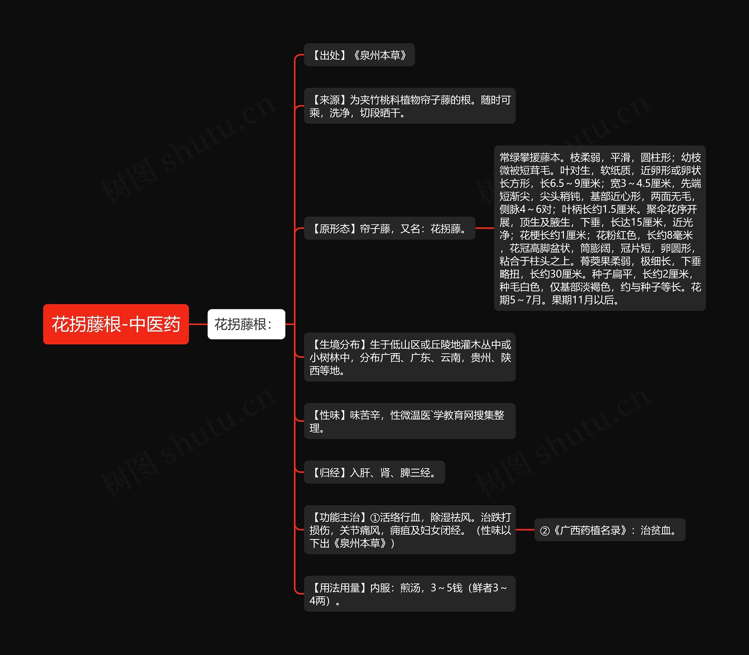 花拐藤根-中医药思维导图