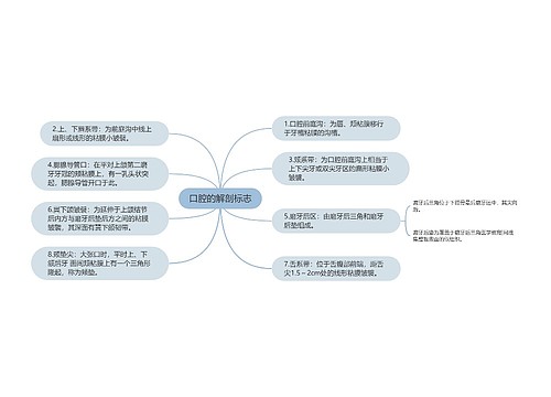 口腔的解剖标志