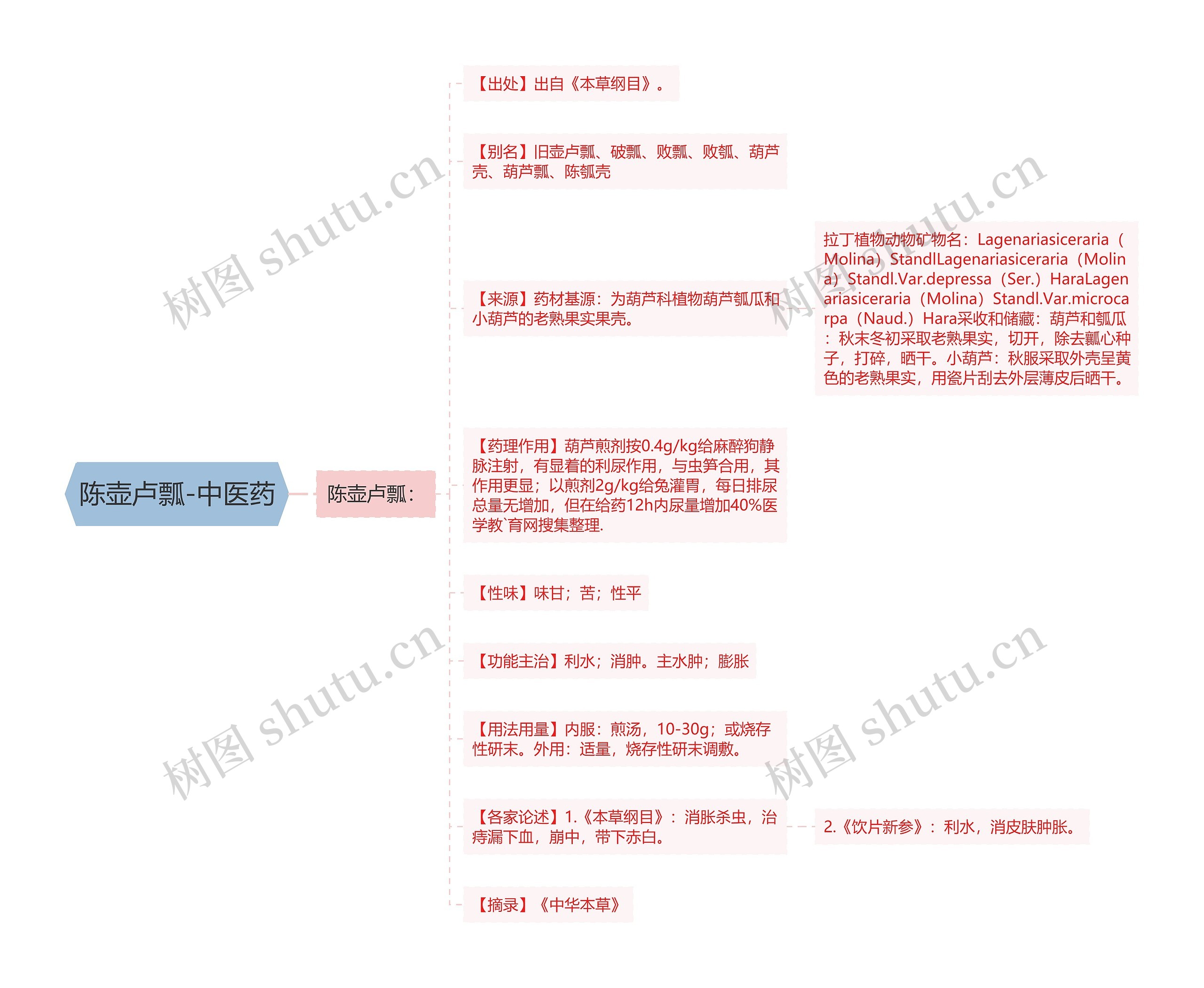 陈壶卢瓢-中医药思维导图