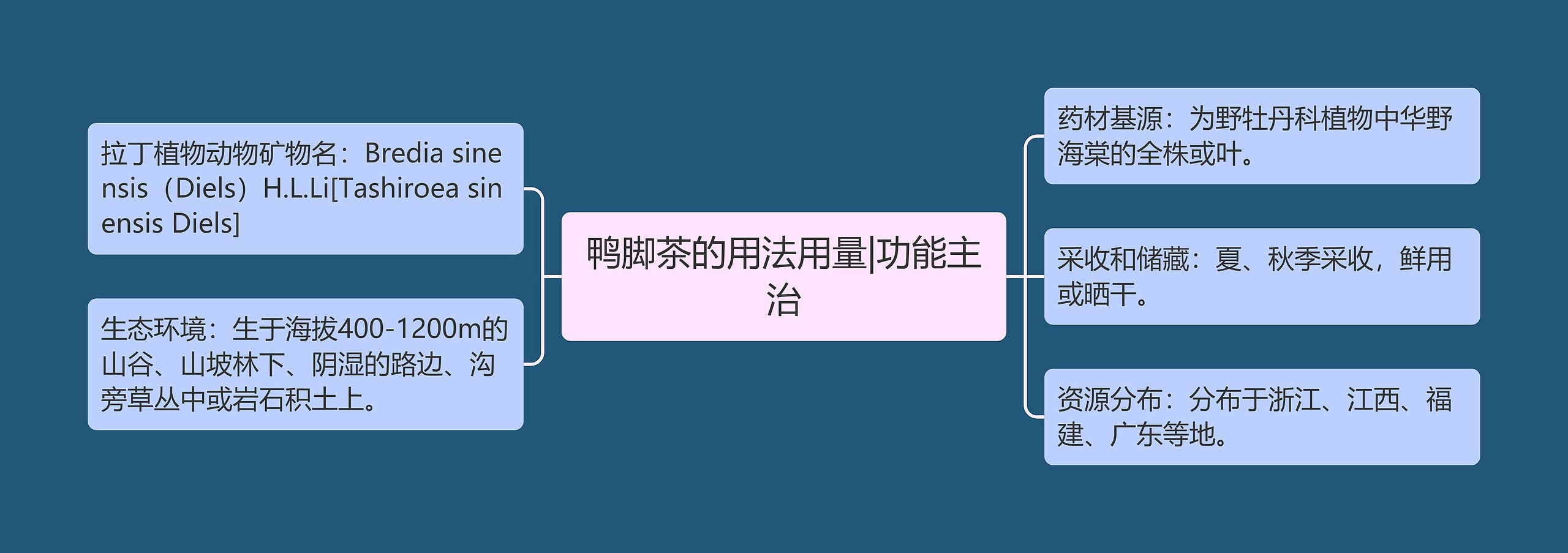 鸭脚茶的用法用量|功能主治