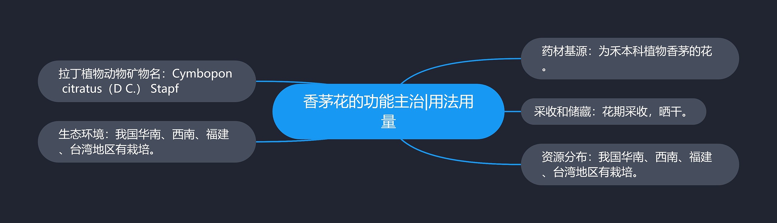 香茅花的功能主治|用法用量 香茅花的功能主治|用法用量