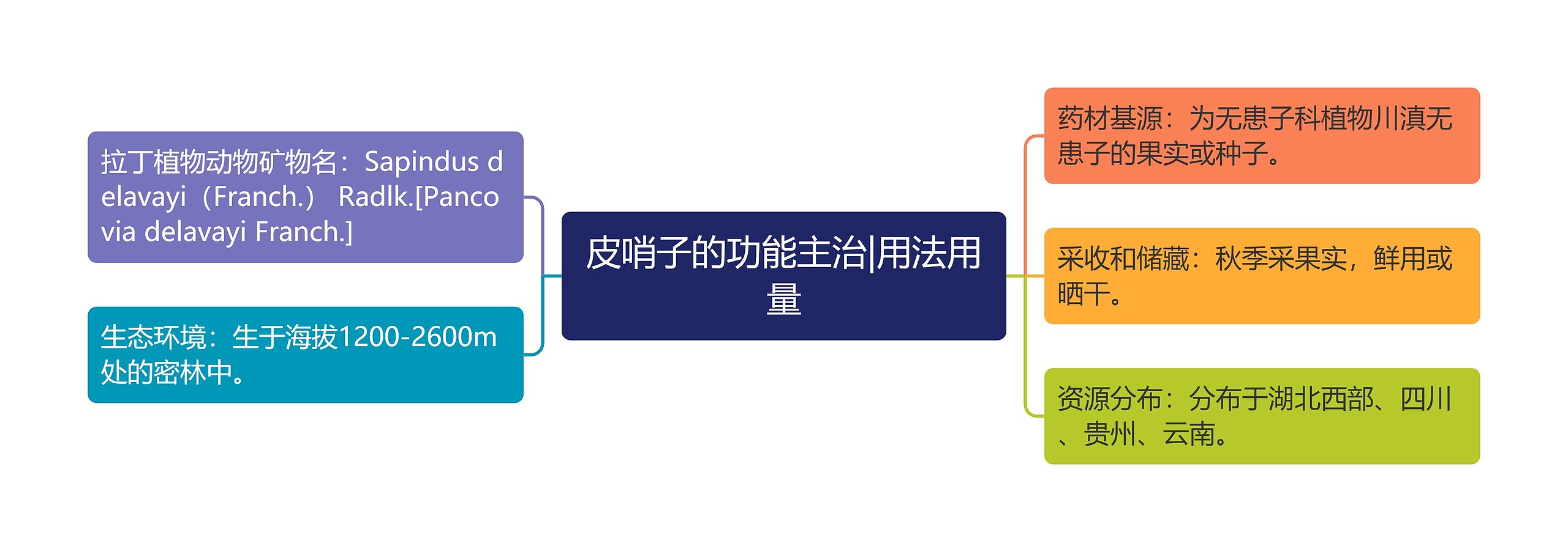 皮哨子的功能主治|用法用量 皮哨子的功能主治|用法用量