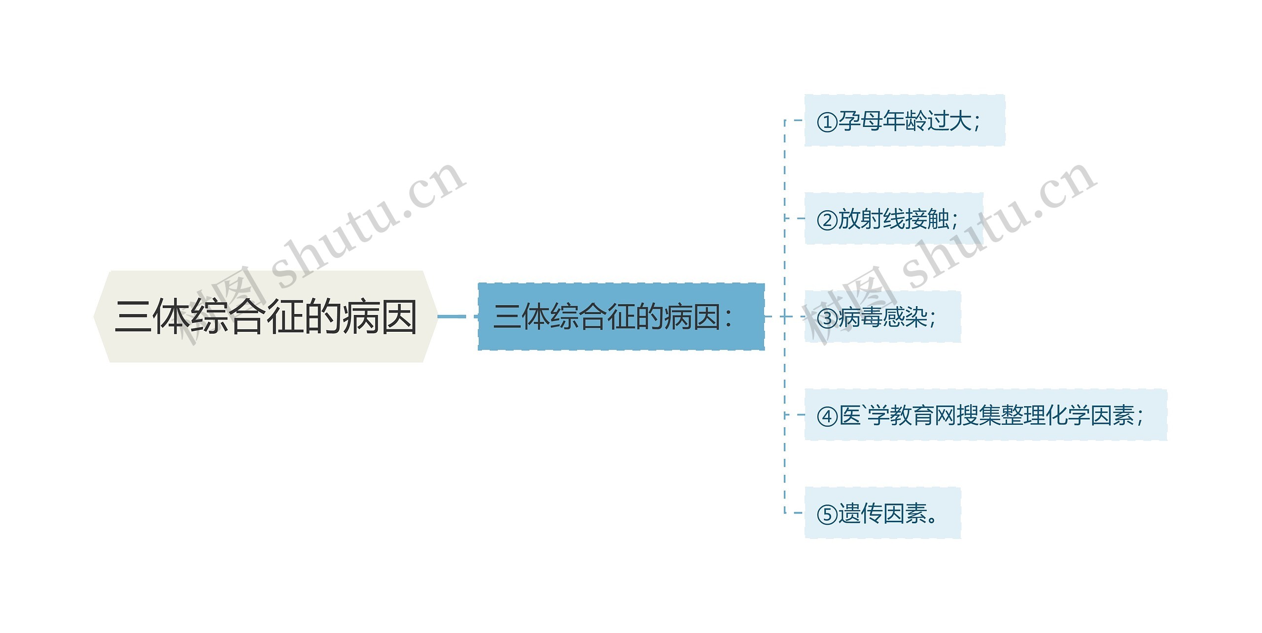 三体综合征的病因思维导图