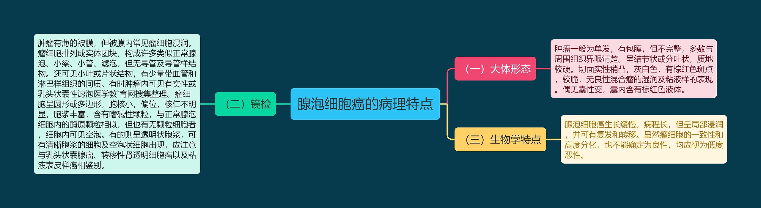 腺泡细胞癌的病理特点 腺泡细胞癌的病理特点