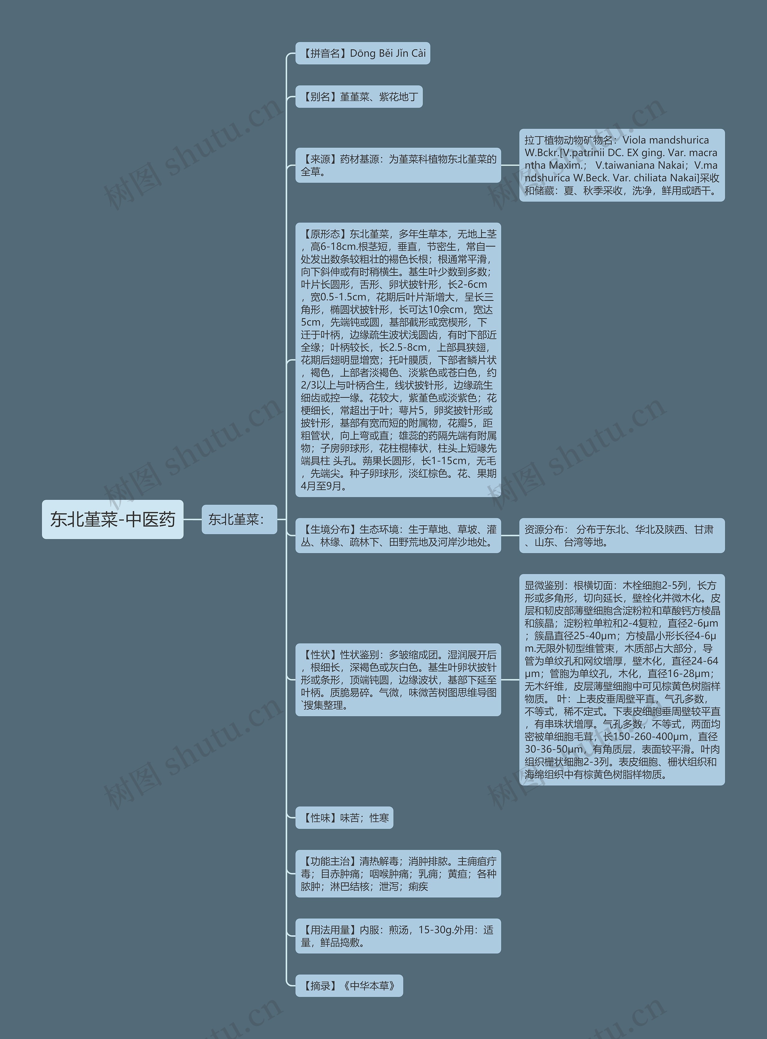 东北堇菜-中医药思维导图