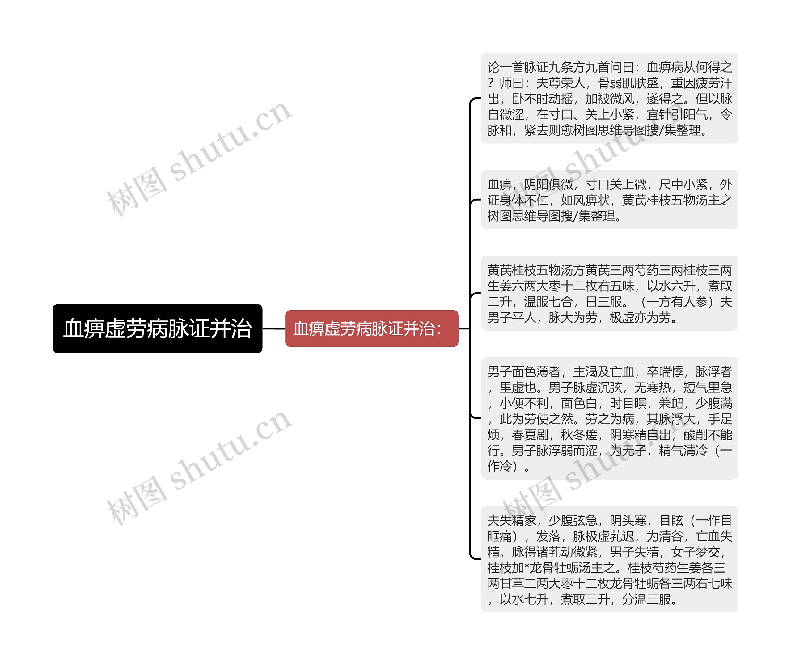 血痹虚劳病脉证并治思维导图