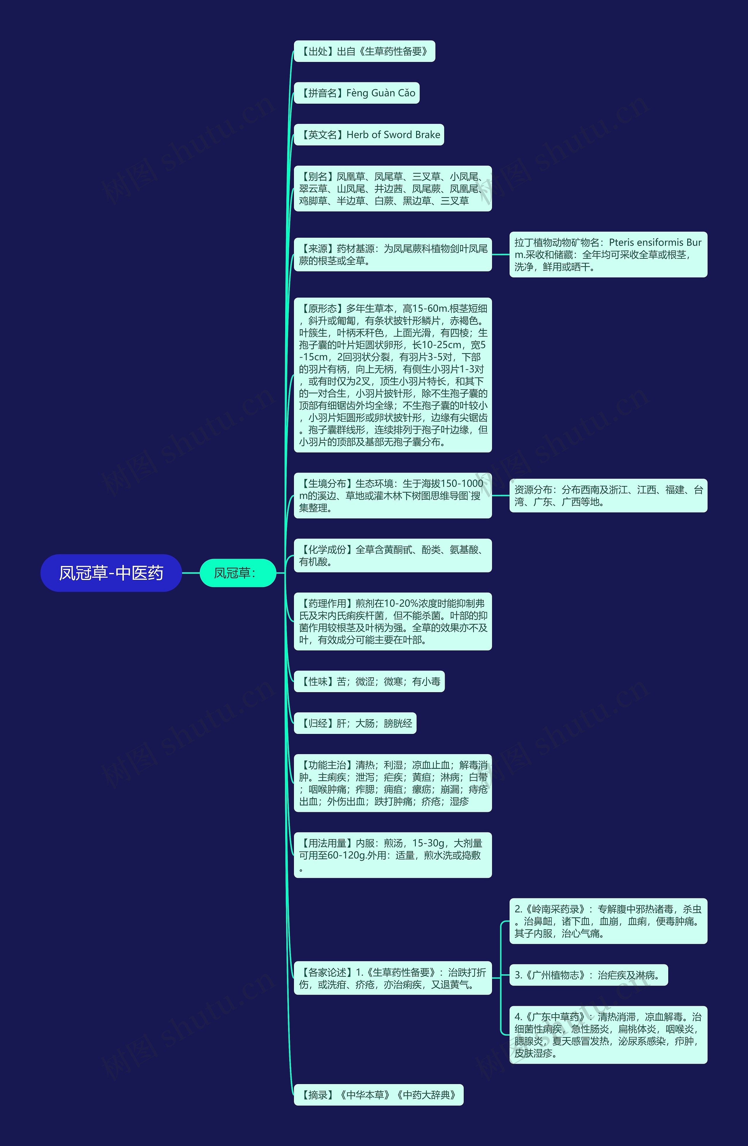 凤冠草-中医药思维导图