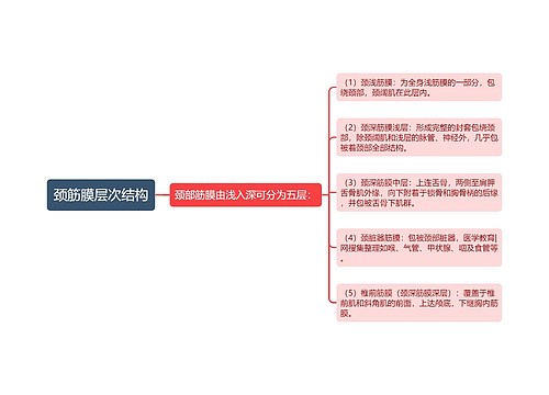 颈筋膜层次结构