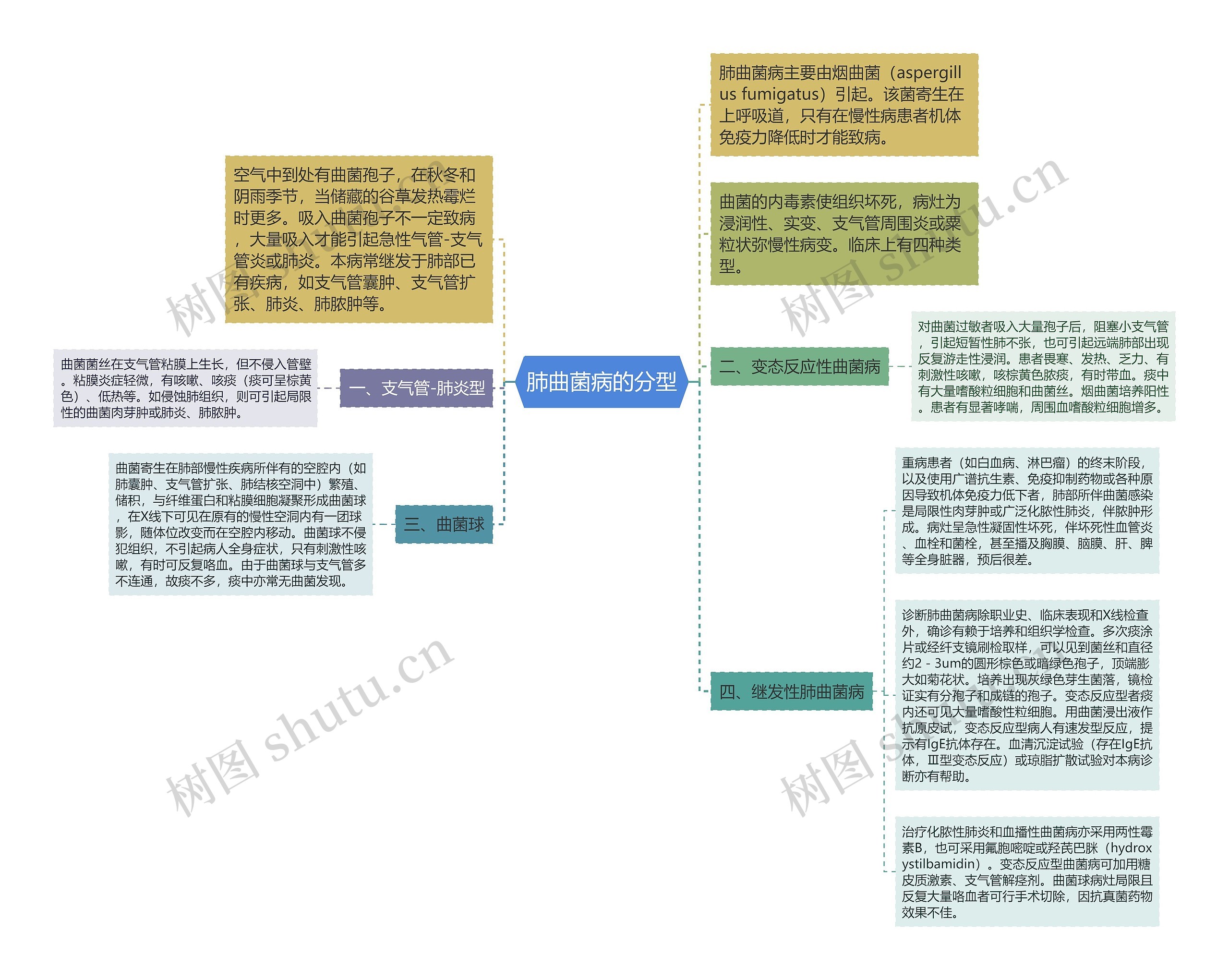 肺曲菌病的分型思维导图