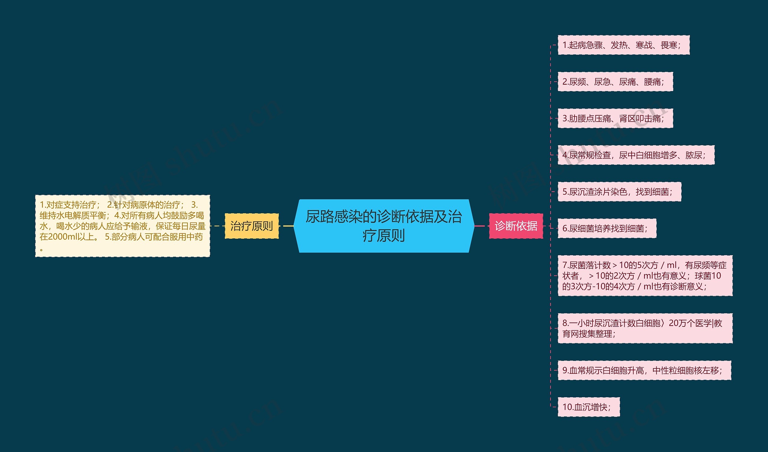 尿路感染的诊断依据及治疗原则思维导图