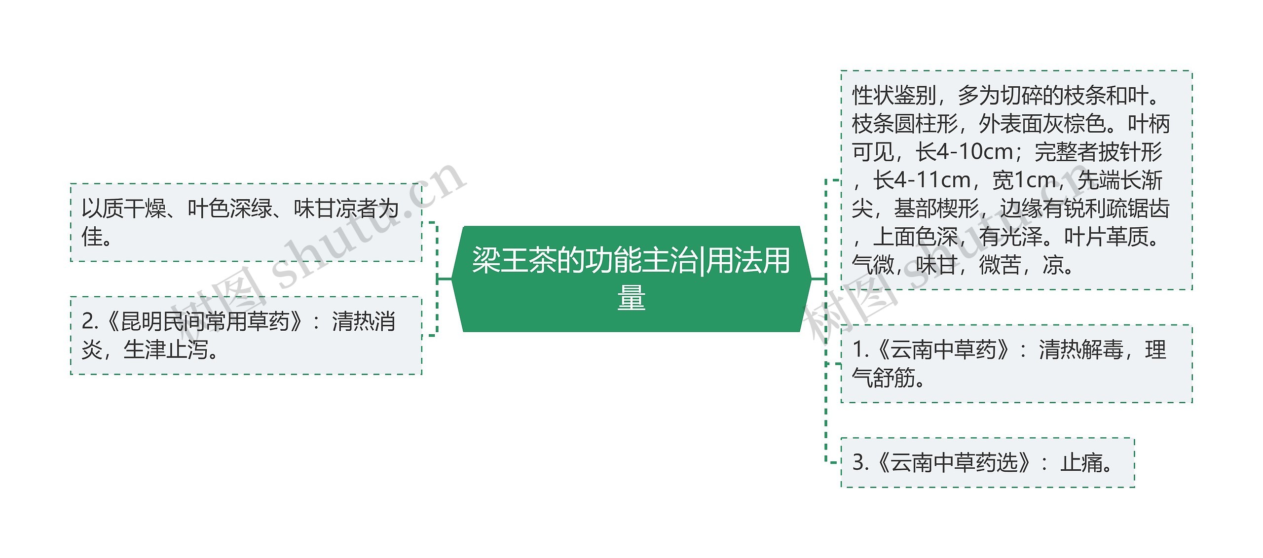 梁王茶的功能主治|用法用量思维导图