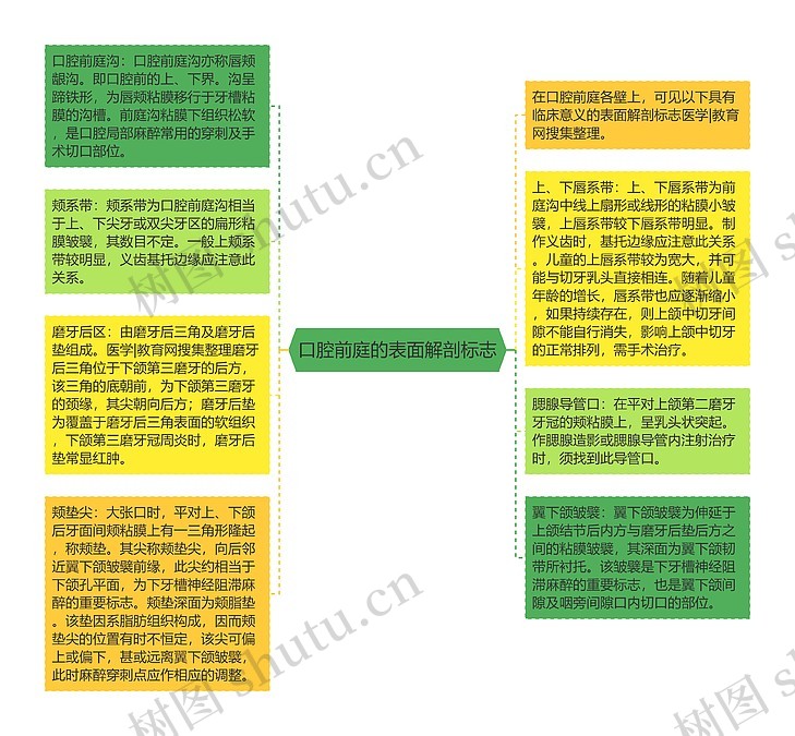 口腔前庭的表面解剖标志思维导图_编号p6833753-TreeMind树图