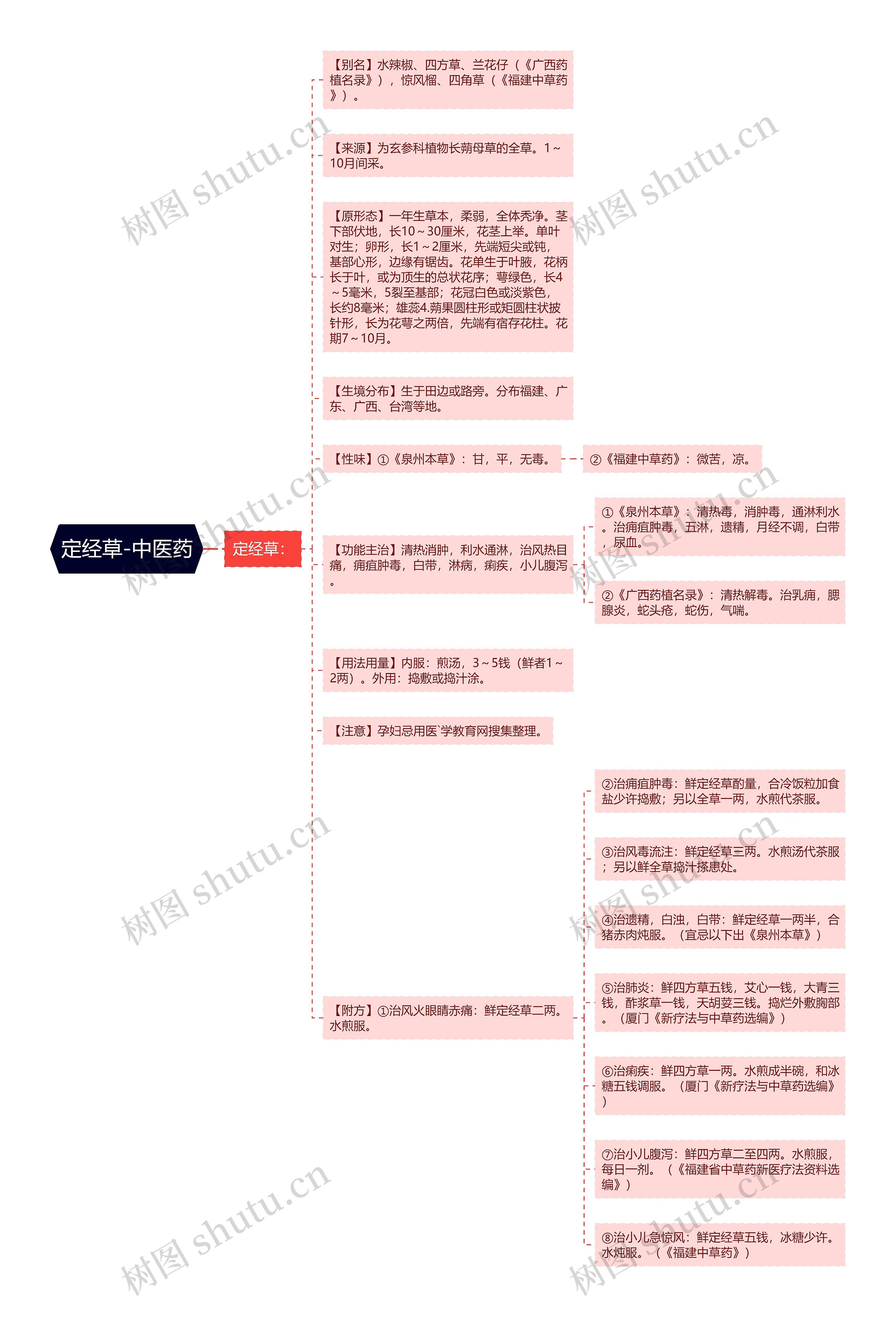 定经草-中医药 定经草-中医药