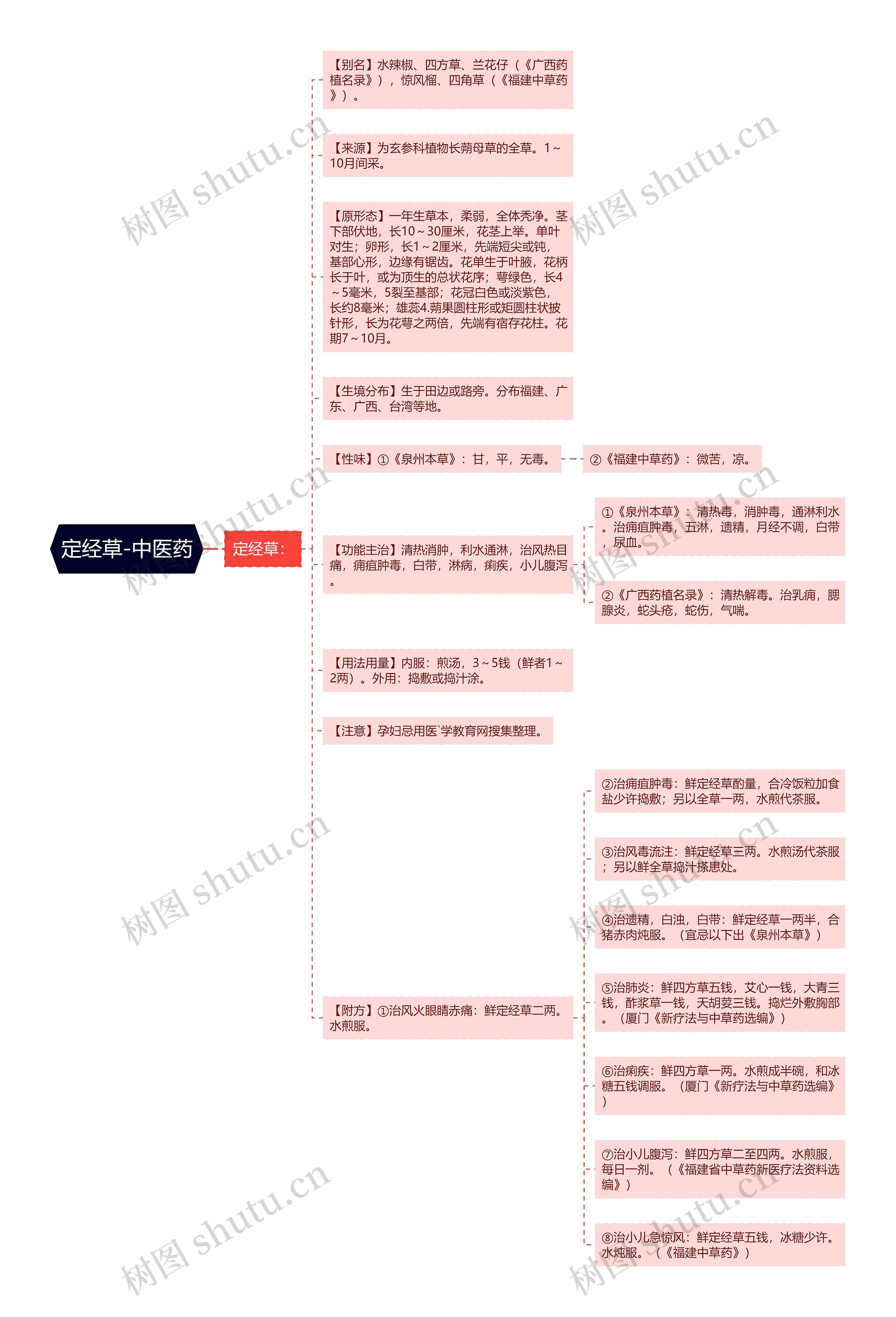 定经草-中医药思维导图