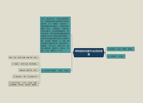 榉树皮的功能主治|用法用量