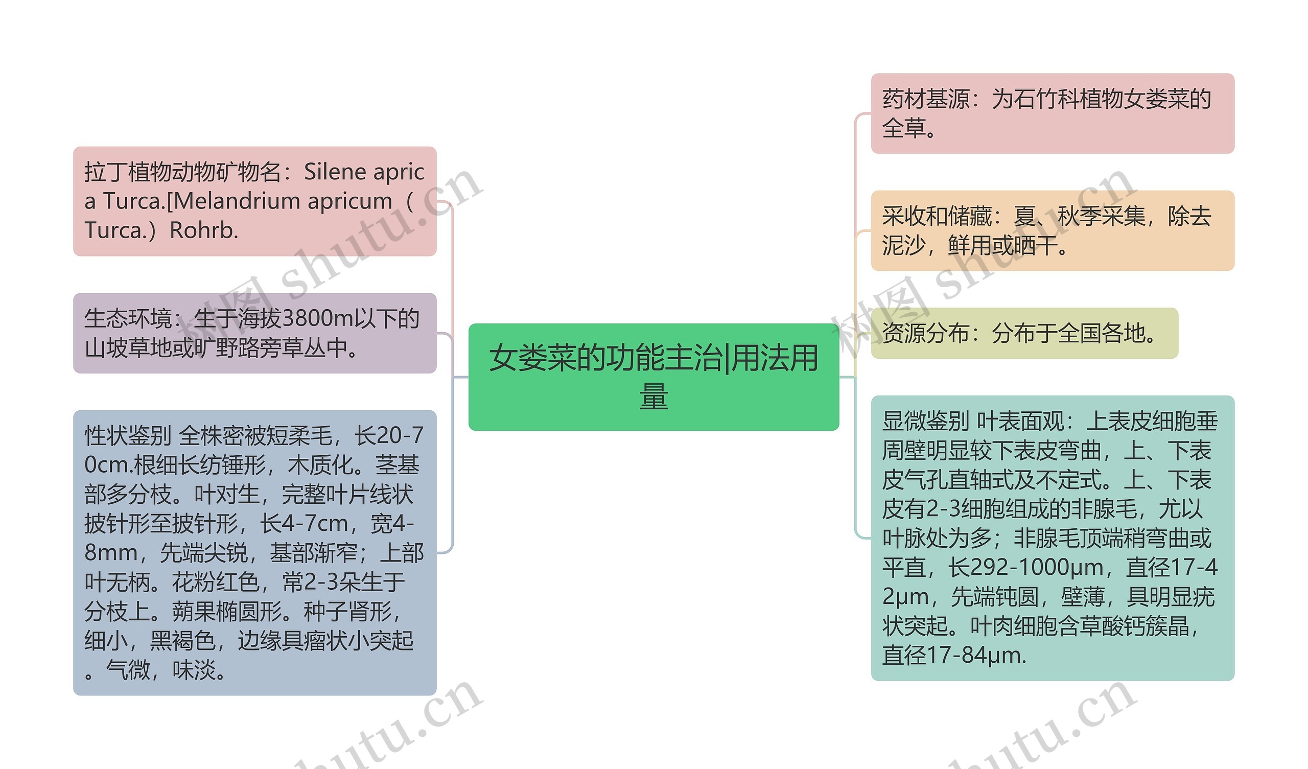 女娄菜的功能主治|用法用量