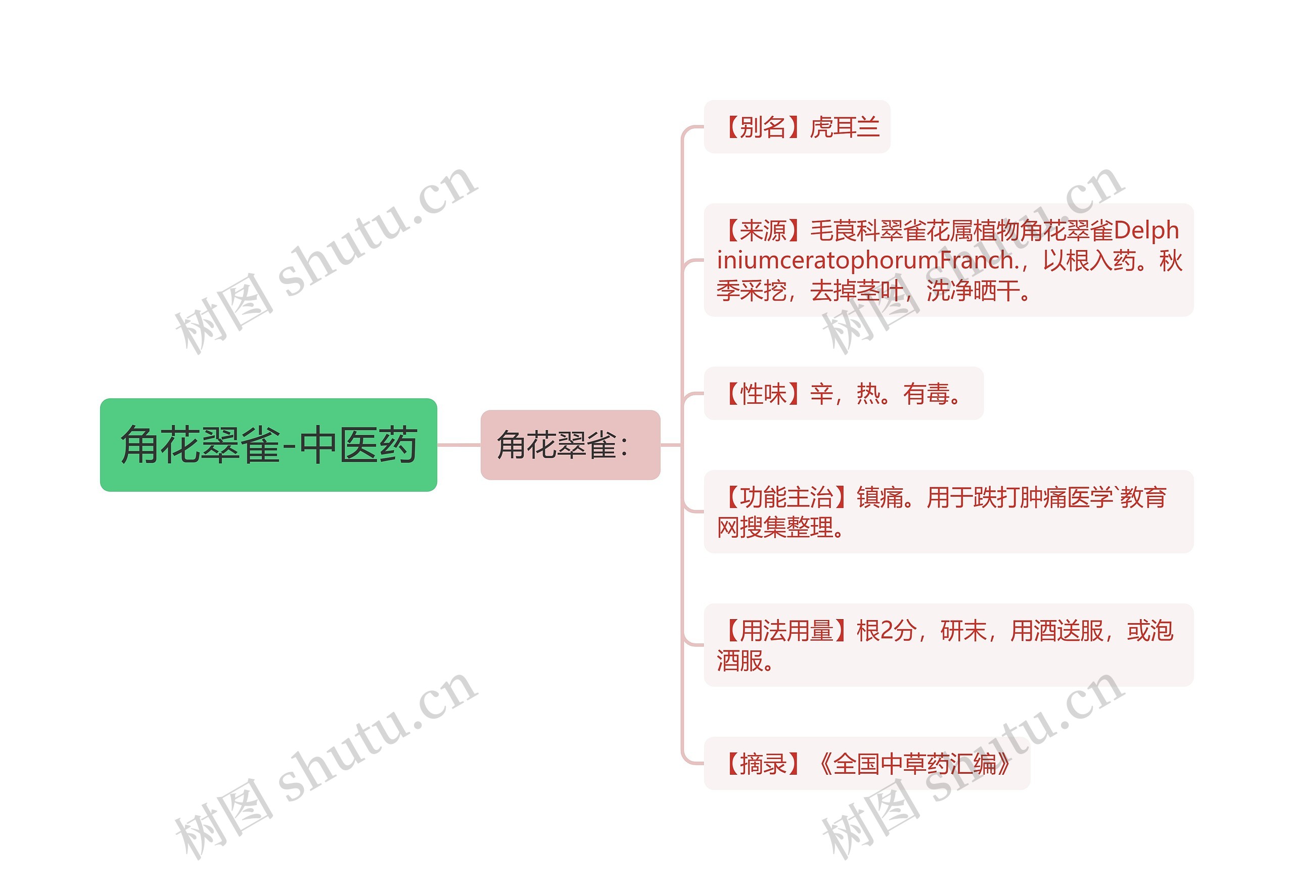 角花翠雀-中医药思维导图