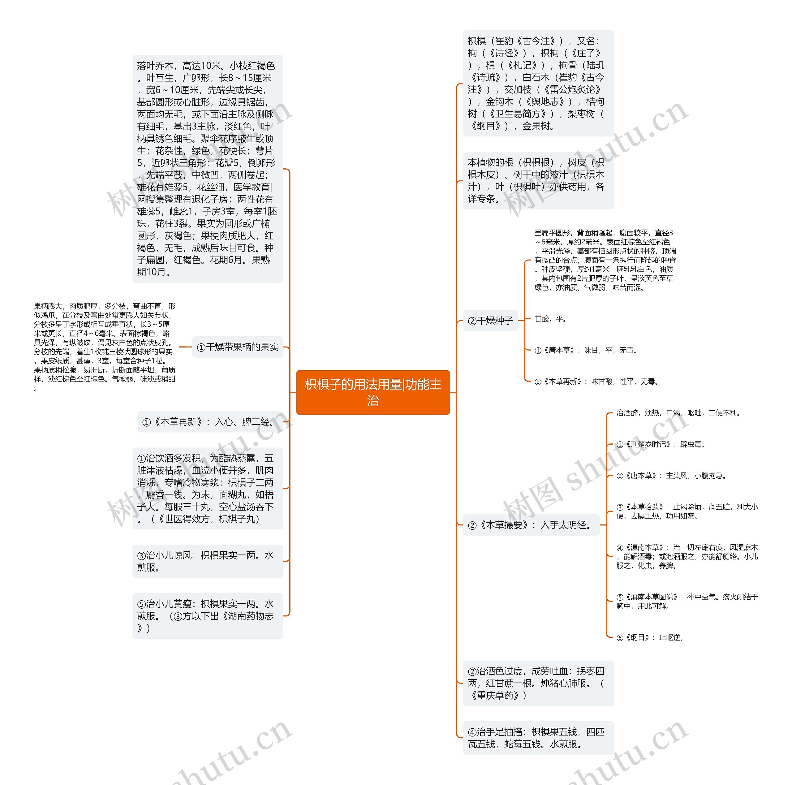 枳椇子的用法用量|功能主治思维导图