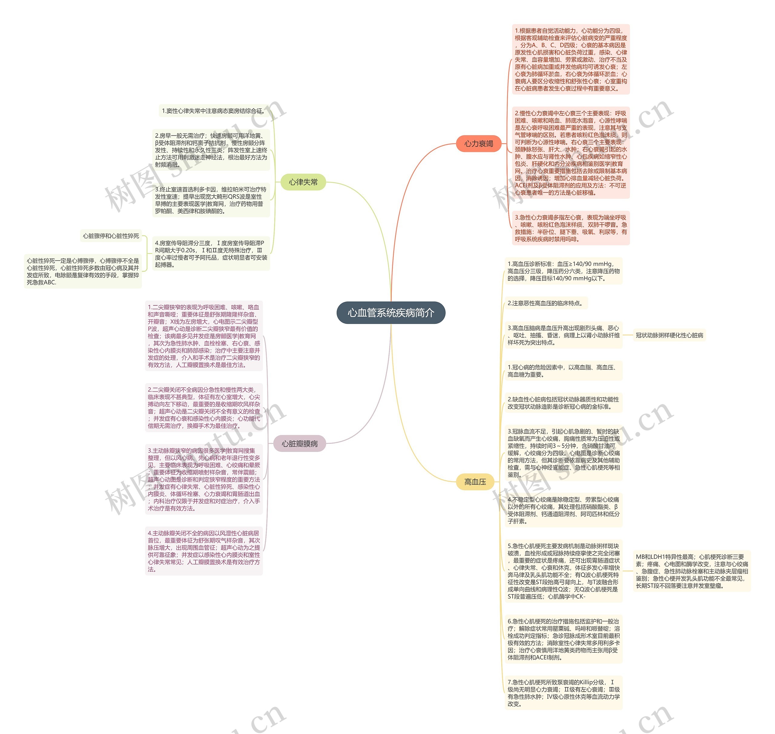 心血管系统疾病简介思维导图