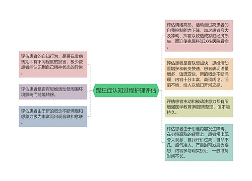 躁狂症认知过程护理评估