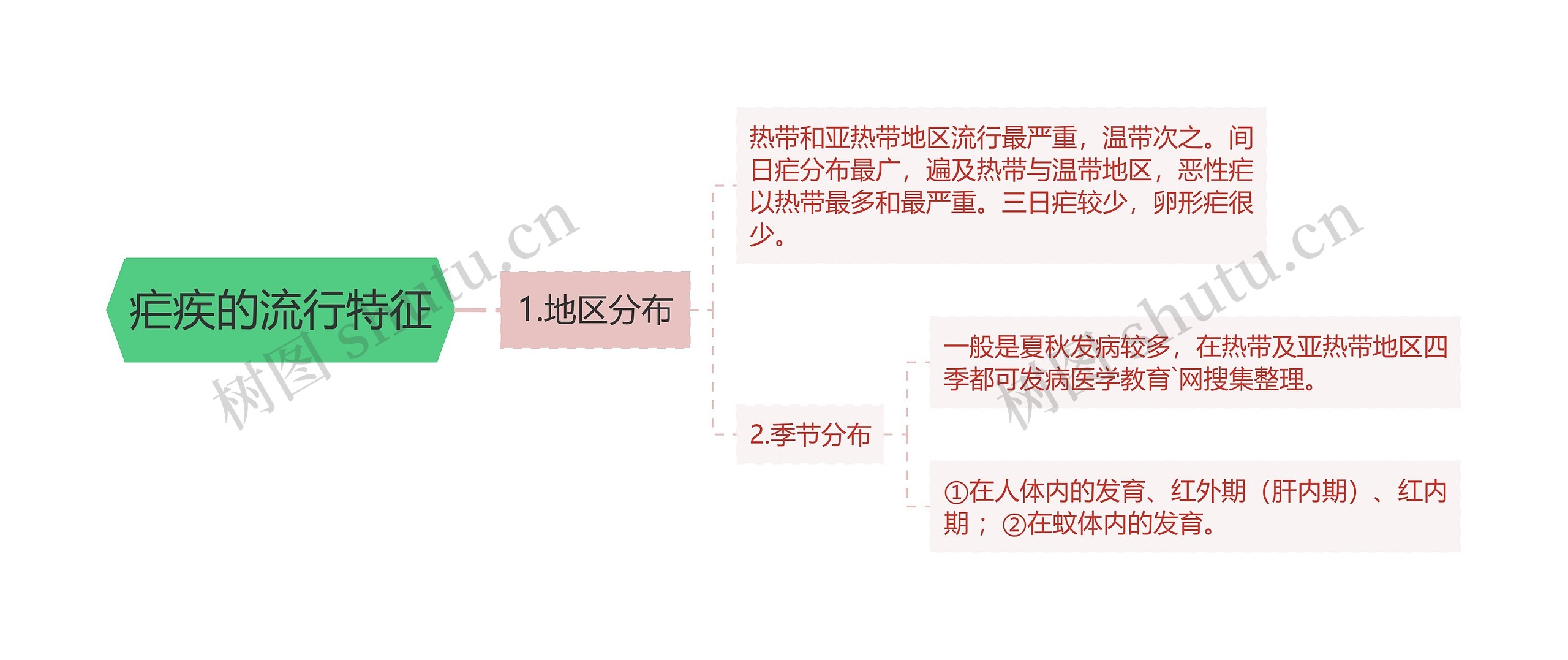 疟疾的流行特征思维导图