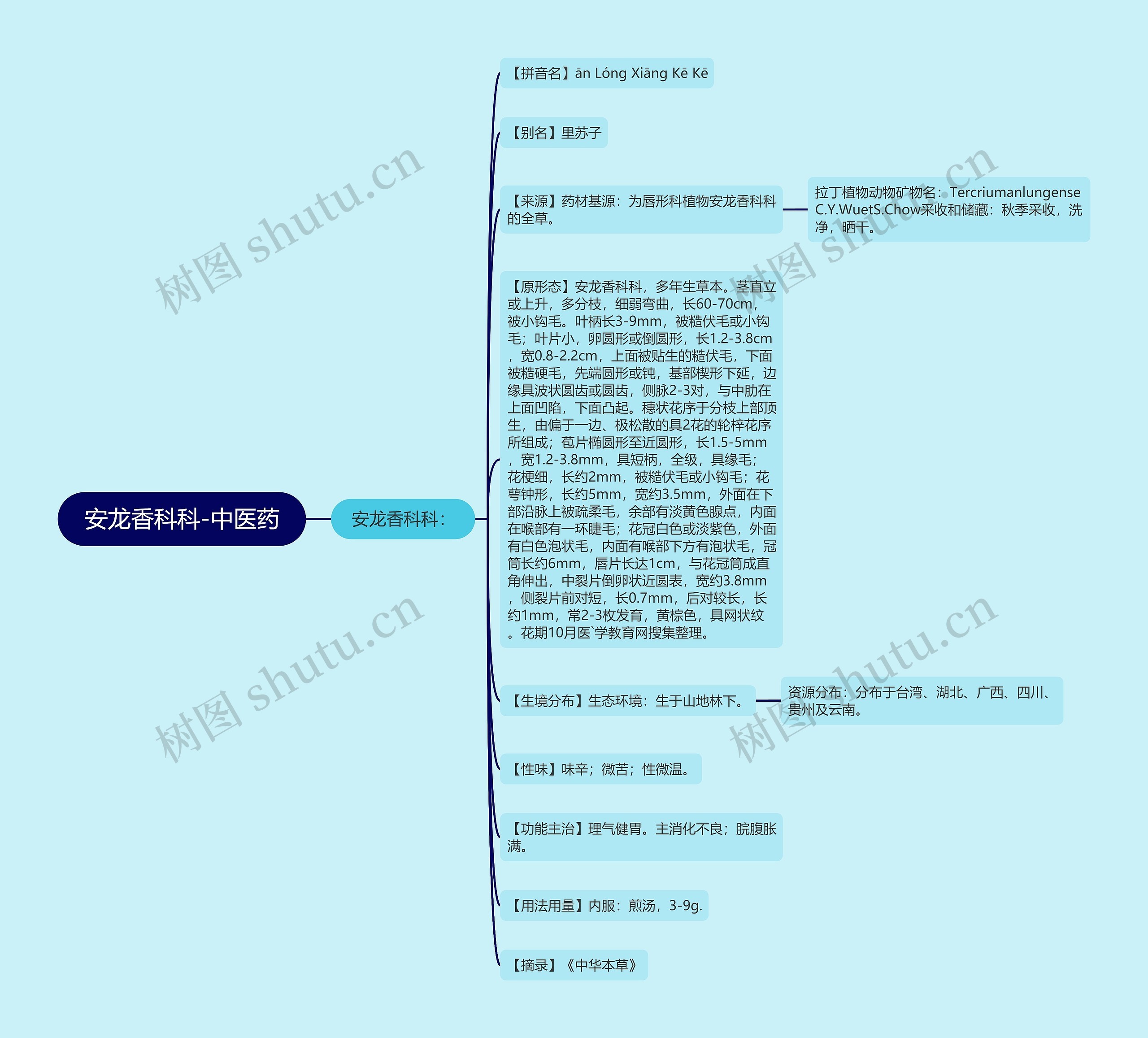 安龙香科科-中医药 安龙香科科-中医药