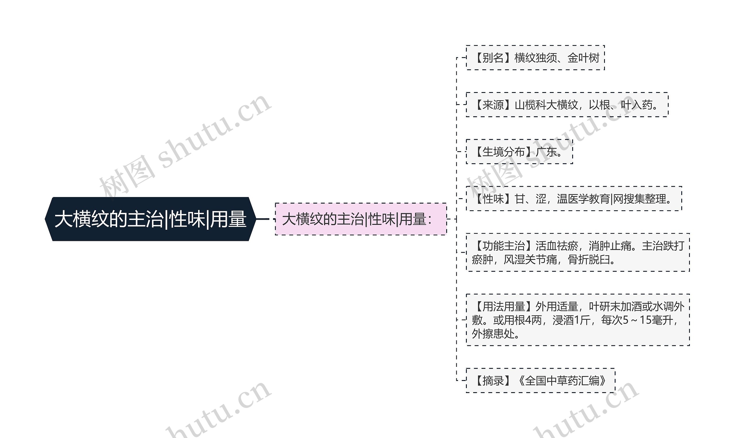 大横纹的主治|性味|用量思维导图